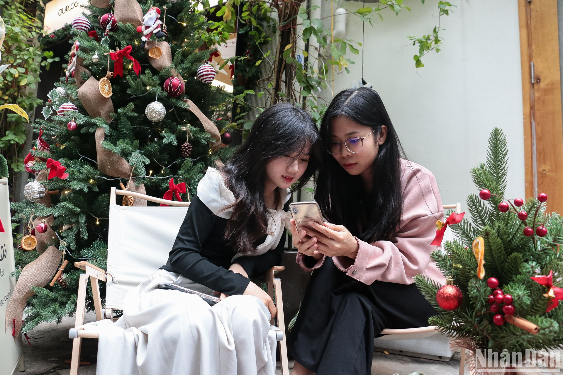 Những cây thông Noel nhiều kích thước là vật dụng trang trí không thể thiếu trong các quán.