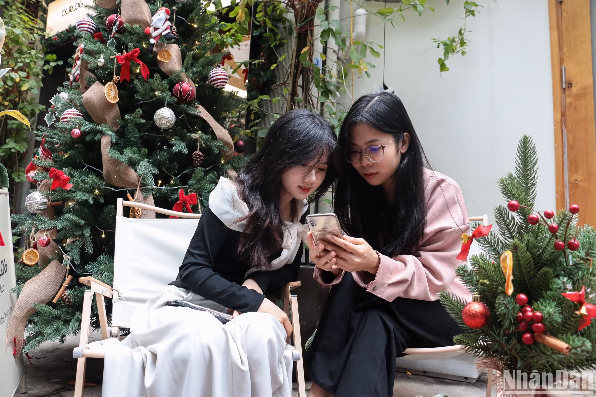 Những cây thông Noel nhiều kích thước là vật dụng trang trí không thể thiếu trong các quán.