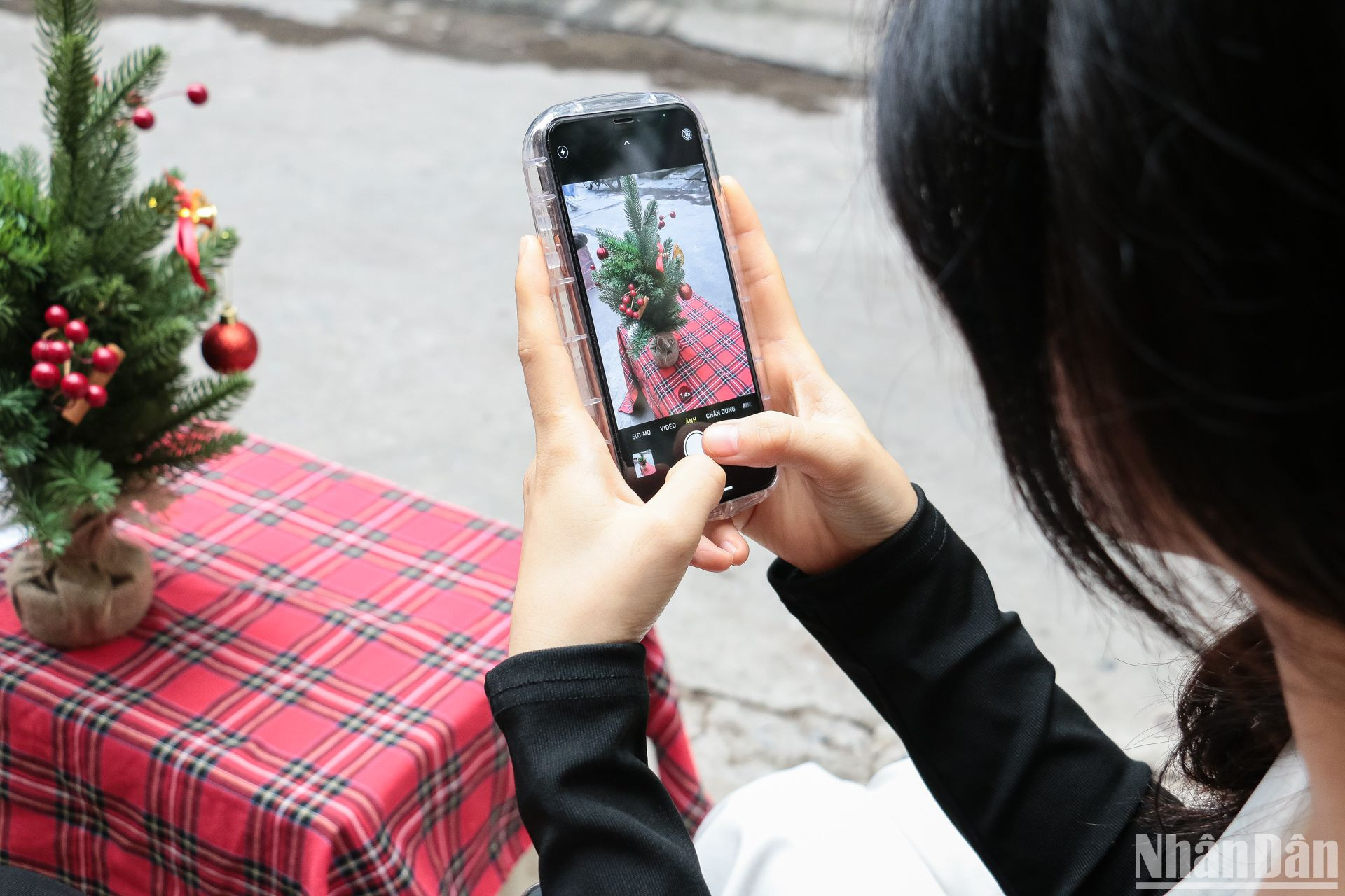 Không ít bạn trẻ thích thú chụp hình cùng cây thông Noel nhỏ nhắn.