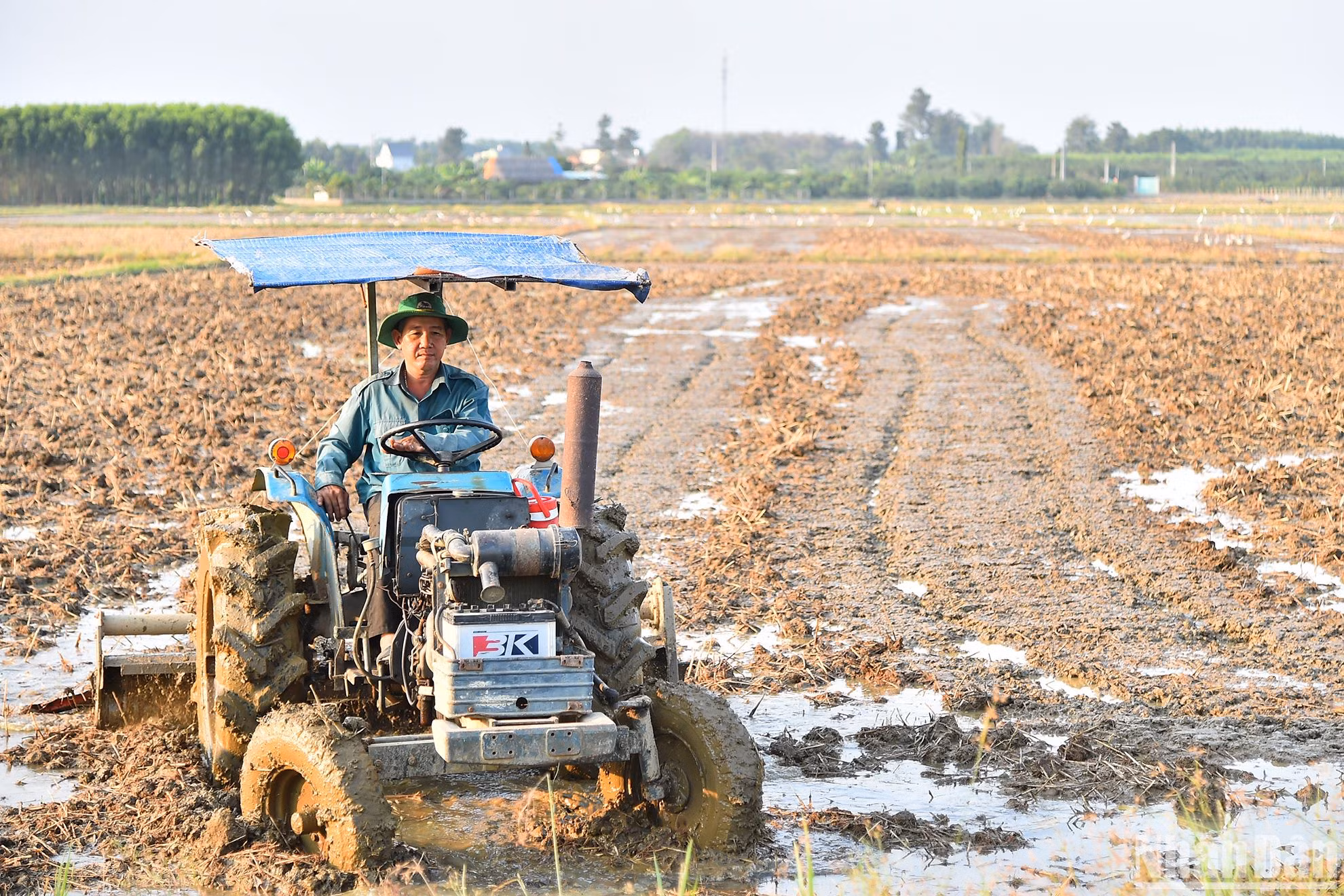 Giám đốc Hồ Tấn Lợi cho biết, chìa khóa để kết nối chuỗi sản xuất thông minh giờ đây là công nghệ. Các sản phẩm sạch khi đáp ứng các tiêu chí và được công nhận OCOP thì bao bì phải có mã QR truy xuất nguồn gốc, nhật ký đồng vụ… Khách hàng muốn mua sản phẩm thì chỉ cần quét mã là sẽ nắm được cụ thể về nguồn gốc, chất lượng sản xuất, gia tăng niềm tin đồng thời tỷ lệ thuận với hiệu quả kinh tế.