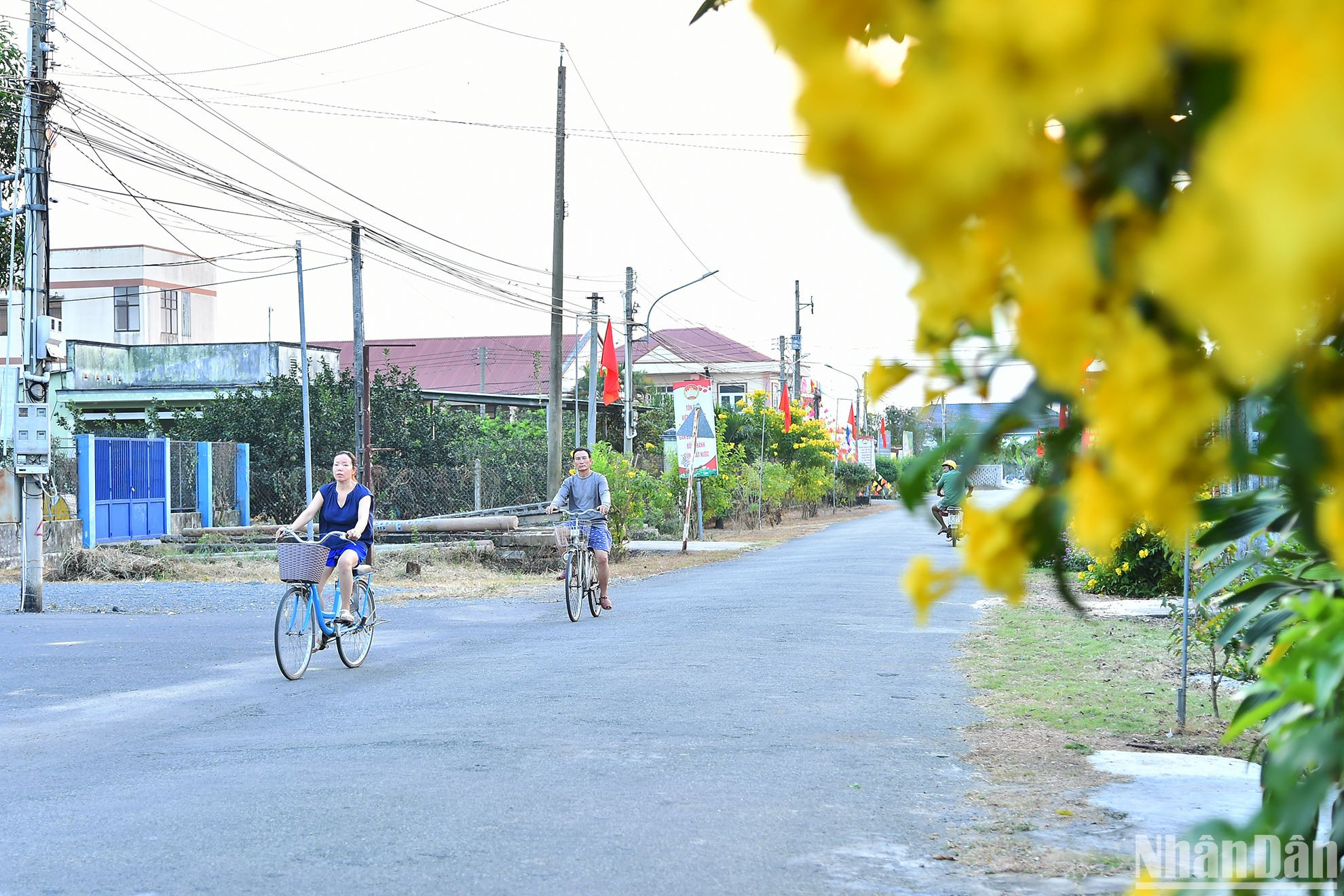 Người nông dân thông minh ở Bạch Đằng không chỉ học cách để sản xuất thông minh mà còn “thông minh” trong bảo tồn, giữ gìn “hồn làng”. Chính quyền xã và người già uy tín trong làng khi bắt đầu cùng xây dựng làng thông minh đã quyết tâm phải bước đi từ việc thay đổi nhận thức của mỗi người dân. Với ý chí và khát vọng đổi mới của những nông dân thông minh, trong tương lai, Bạch Đằng sẽ là nơi đáng sống, thân thiện với thiên nhiên môi trường, vừa là nơi phát triển nông nghiệp thông minh, phát triển du lịch sinh thái, trở thành một biểu tượng xanh cho tỉnh công nghiệp Bình Dương.