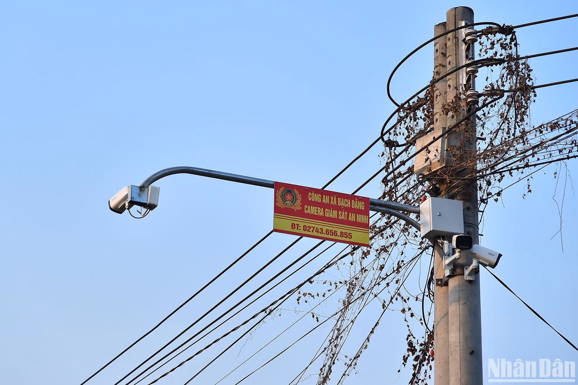 Chung quanh những con đường làng bê-tông phẳng phiu, hai bên là những hàng hoa rực rỡ, là sự hiện diện của hệ thống camera giám sát an ninh do Công an xã quản lý. Dần dần, người nông dân truyền thống ở Bạch Đằng nay đã trở thành những nông dân thông minh ở làng thông minh với việc ứng dụng công nghệ thành thạo trong cuộc sống: làm một cửa online, ứng dụng chữ ký số, dùng mã QR để giúp khách hàng truy xuất nguồn gốc, nhật ký đồng vụ của sản phẩm.