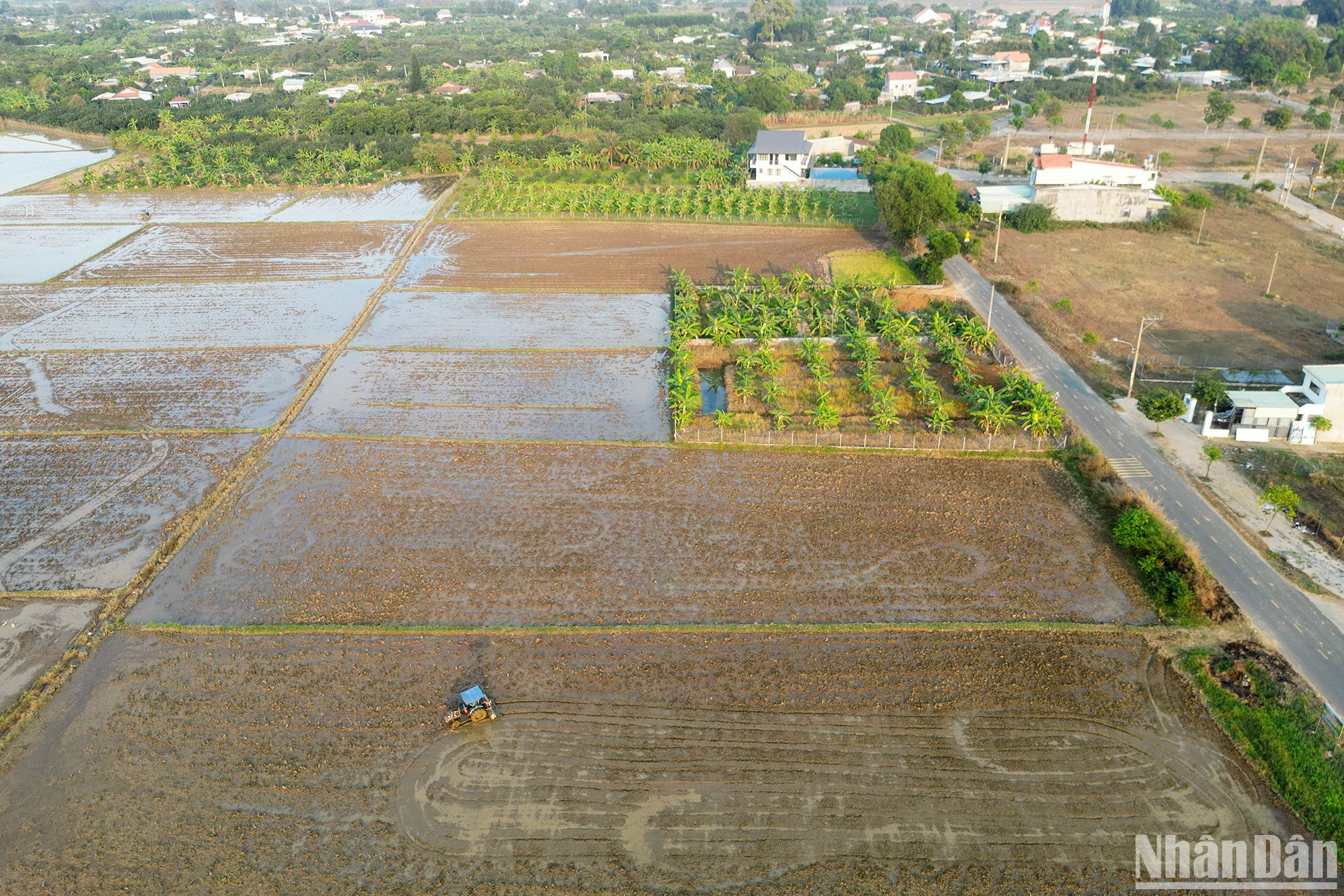 Làng thông minh Bạch Đằng khi hoàn thiện là nơi tập trung nhiều sáng kiến liên quan công nghệ, nông nghiệp thông minh, cơ giới hóa trong sản xuất, nâng cao năng suất lao động cho người dân nông thôn, bảo vệ môi trường... tạo ra hệ sinh thái nông nghiệp-dịch vụ-du lịch sinh thái thân thiện với du khách và hấp dẫn với đối tác.