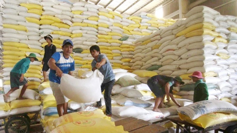 Xuất khẩu gạo tăng nhẹ về số lượng nhưng giảm về giá trị so với cùng kỳ 2024.