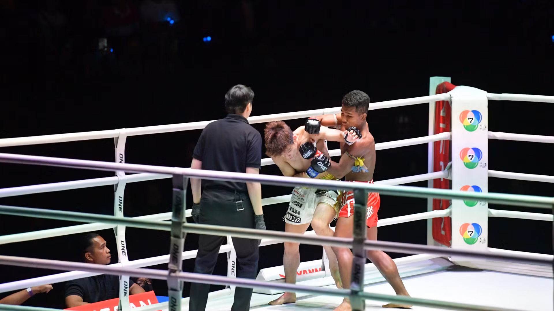 Kế hoạch nâng tầm “quyền lực mềm” Muay Thái của Thái Lan ảnh 6