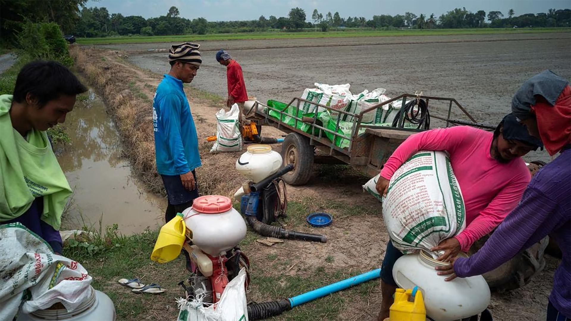 Nông dân ở tỉnh Chai Nat của Thái Lan chuẩn bị gieo hạt trên ruộng lúa. (Ảnh: REUTERS)