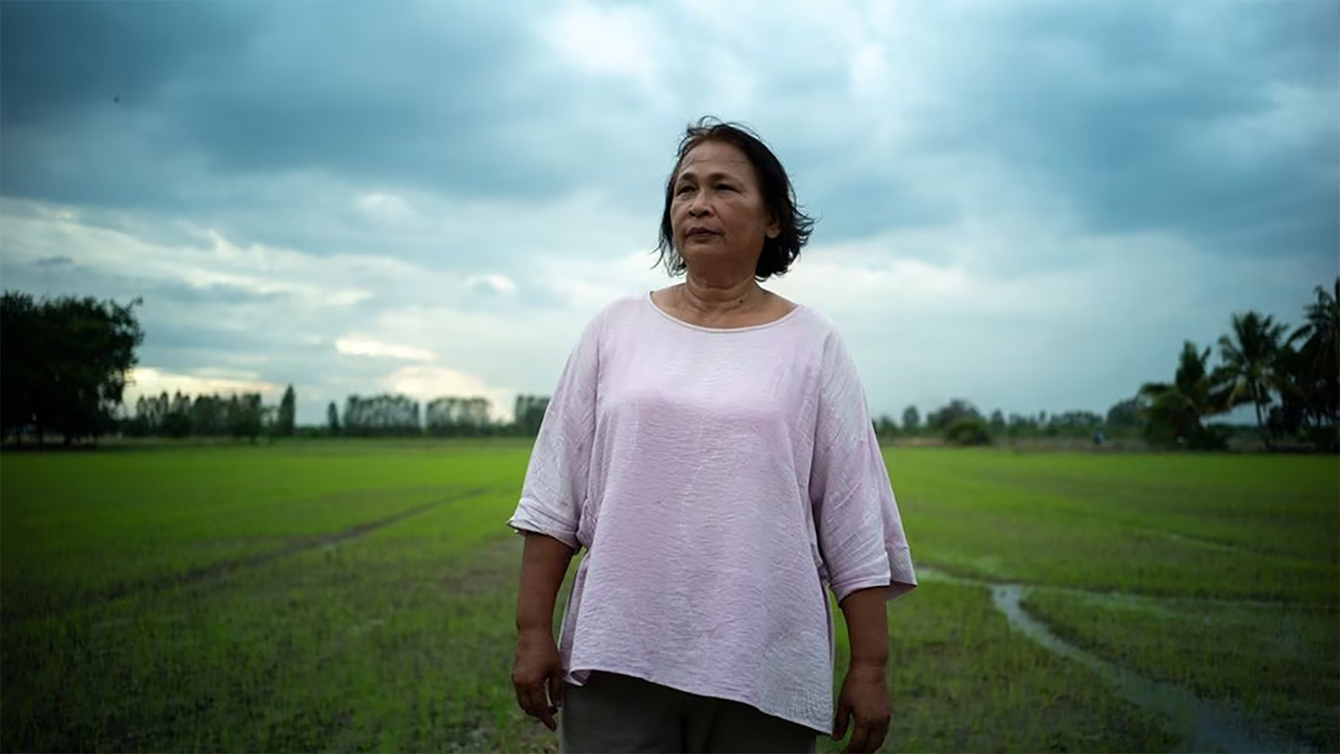 Bà Sripai Kaeo-eam đứng trước cánh đồng lúa của mình. (Ảnh: REUTERS)
