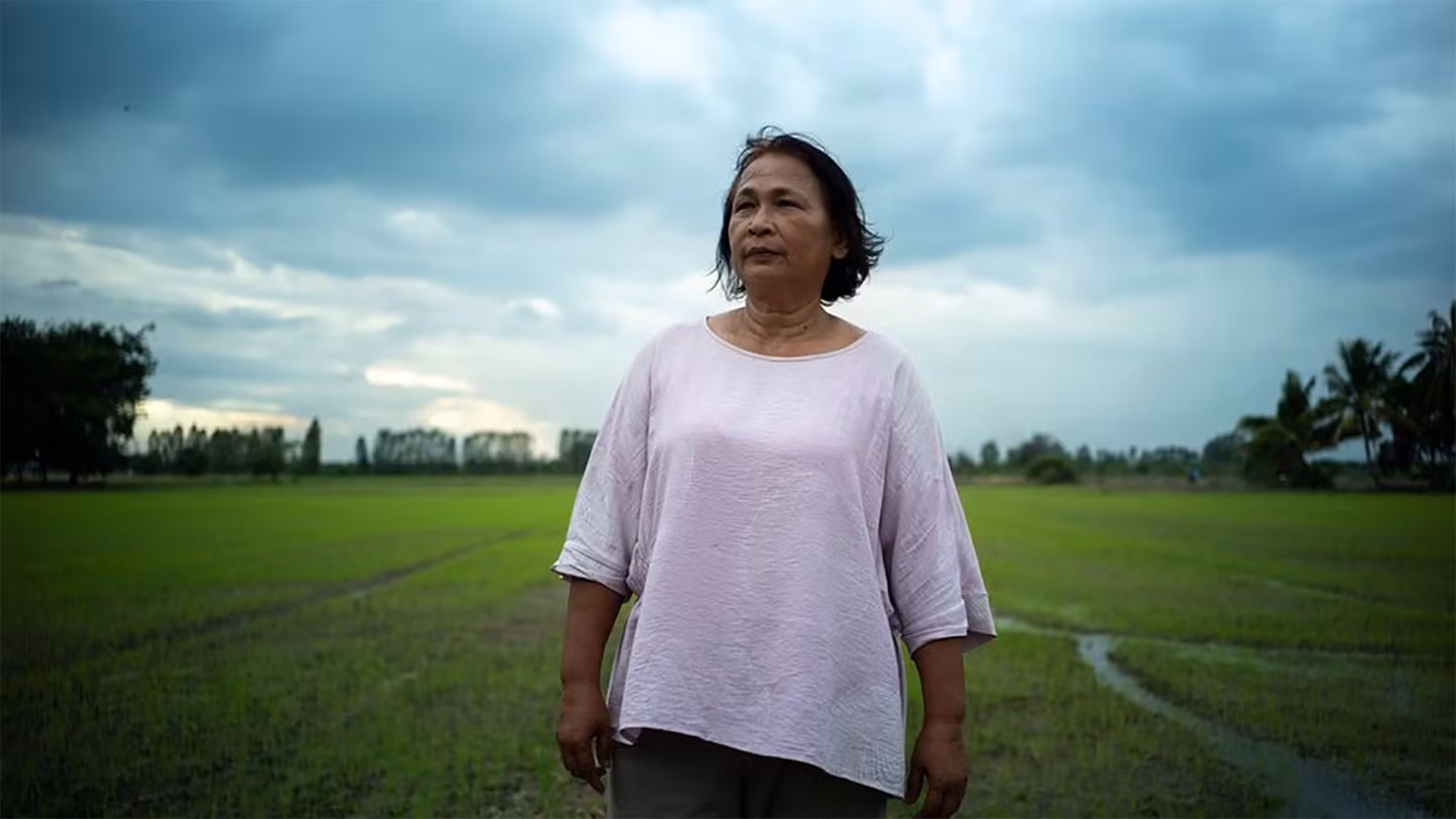 Bà Sripai Kaeo-eam đứng trước cánh đồng lúa của mình. (Ảnh: REUTERS)