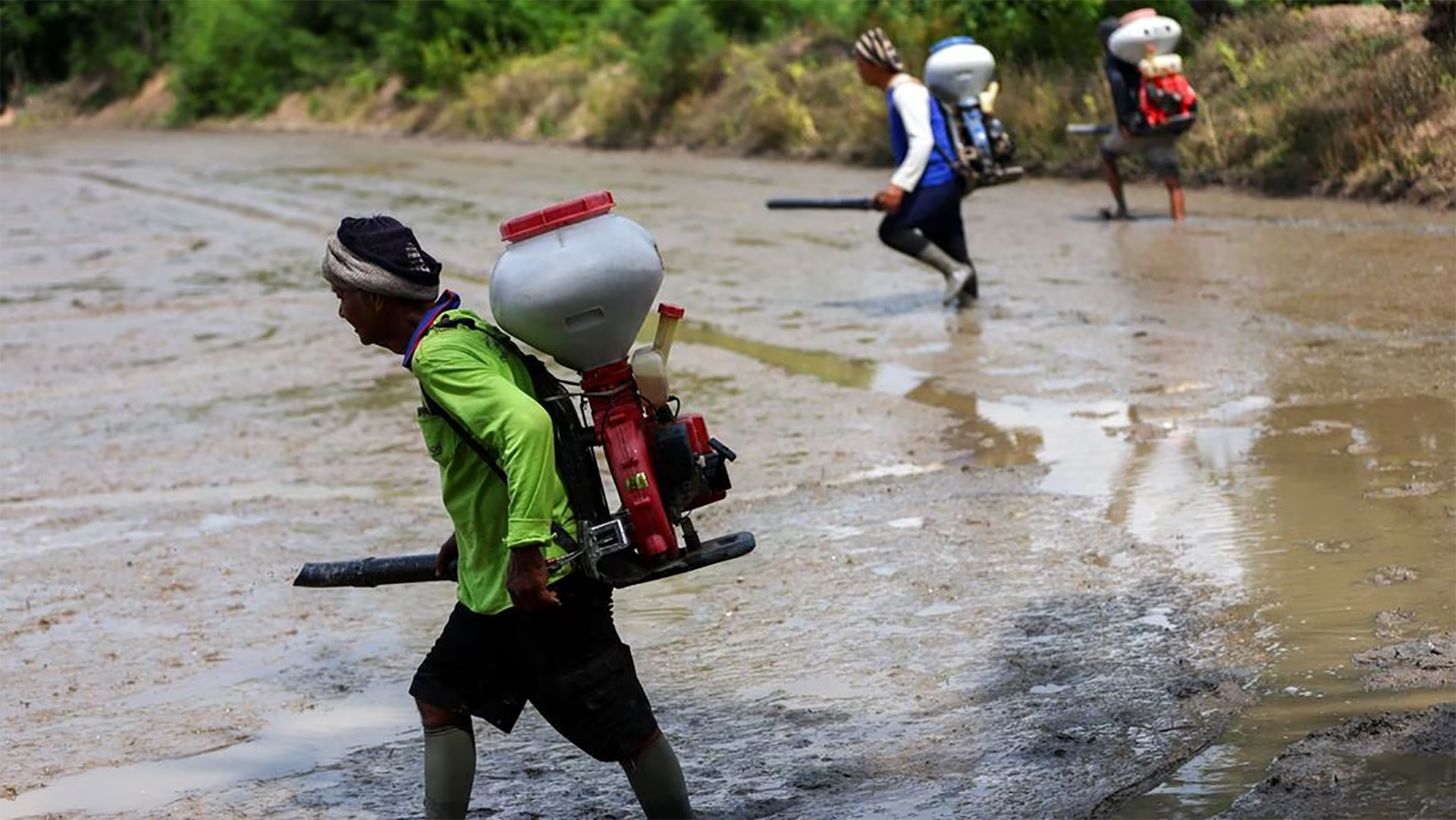 Nông dân gieo hạt trên ruộng lúa ở tỉnh Chai Nat, Thái Lan. (Ảnh: REUTERS)