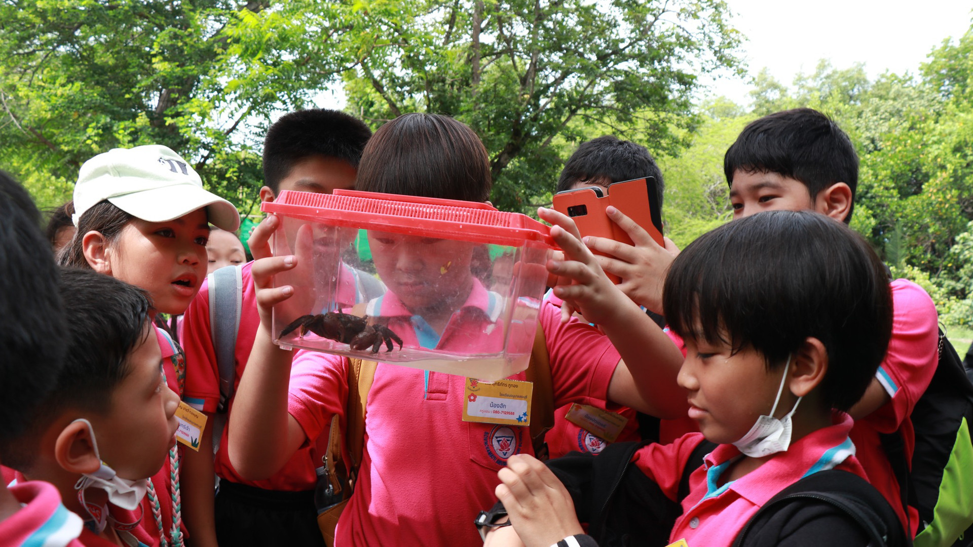 Các em học sinh có thể tới đây tìm hiểu về hệ sinh thái đất ngập nước và rừng ngập mặn, đặc biệt là về các loài thực vật, mối quan hệ của những loài thực vật đó với các sinh vật khác và những lợi ích mà vùng đầm lầy mang lại. Ảnh: Trung tâm Giáo dục Thiên nhiên Bangpu