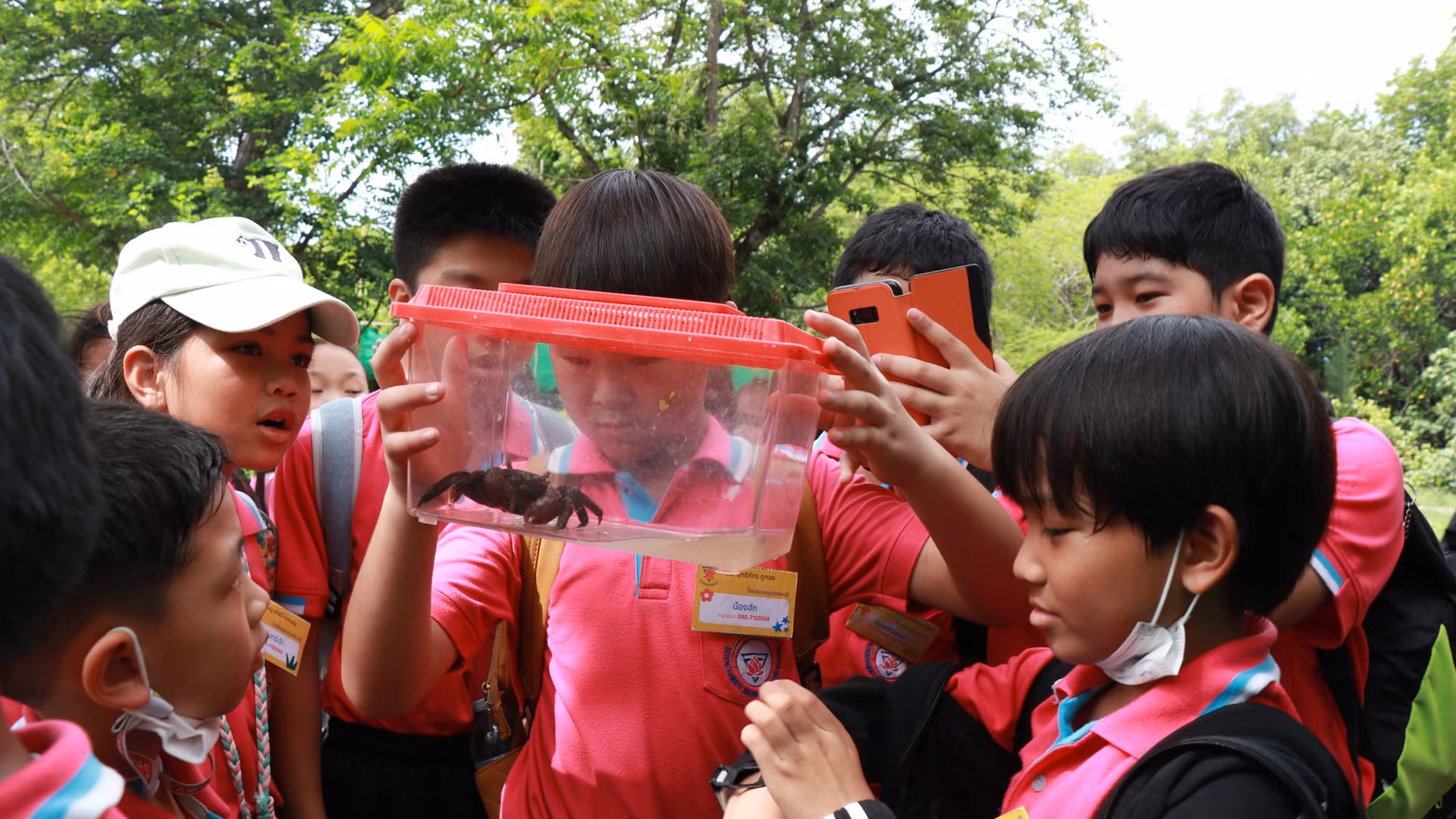 Các em học sinh có thể tới đây tìm hiểu về hệ sinh thái đất ngập nước và rừng ngập mặn, đặc biệt là về các loài thực vật, mối quan hệ của những loài thực vật đó với các sinh vật khác và những lợi ích mà vùng đầm lầy mang lại. Ảnh: Trung tâm Giáo dục Thiên nhiên Bangpu