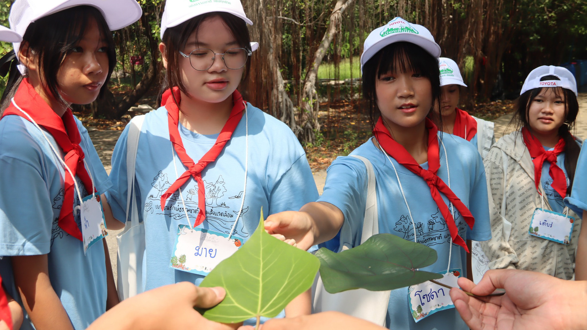 Thông qua các chương trình được thiết kế riêng cho các nhóm du khách khác nhau, Trung tâm Giáo dục Thiên nhiên Bangpu cung cấp kiến thức về rừng ngập mặn, hệ sinh thái bãi bồi và đa dạng sinh học. Ảnh: Trung tâm Giáo dục Thiên nhiên Bangpu
