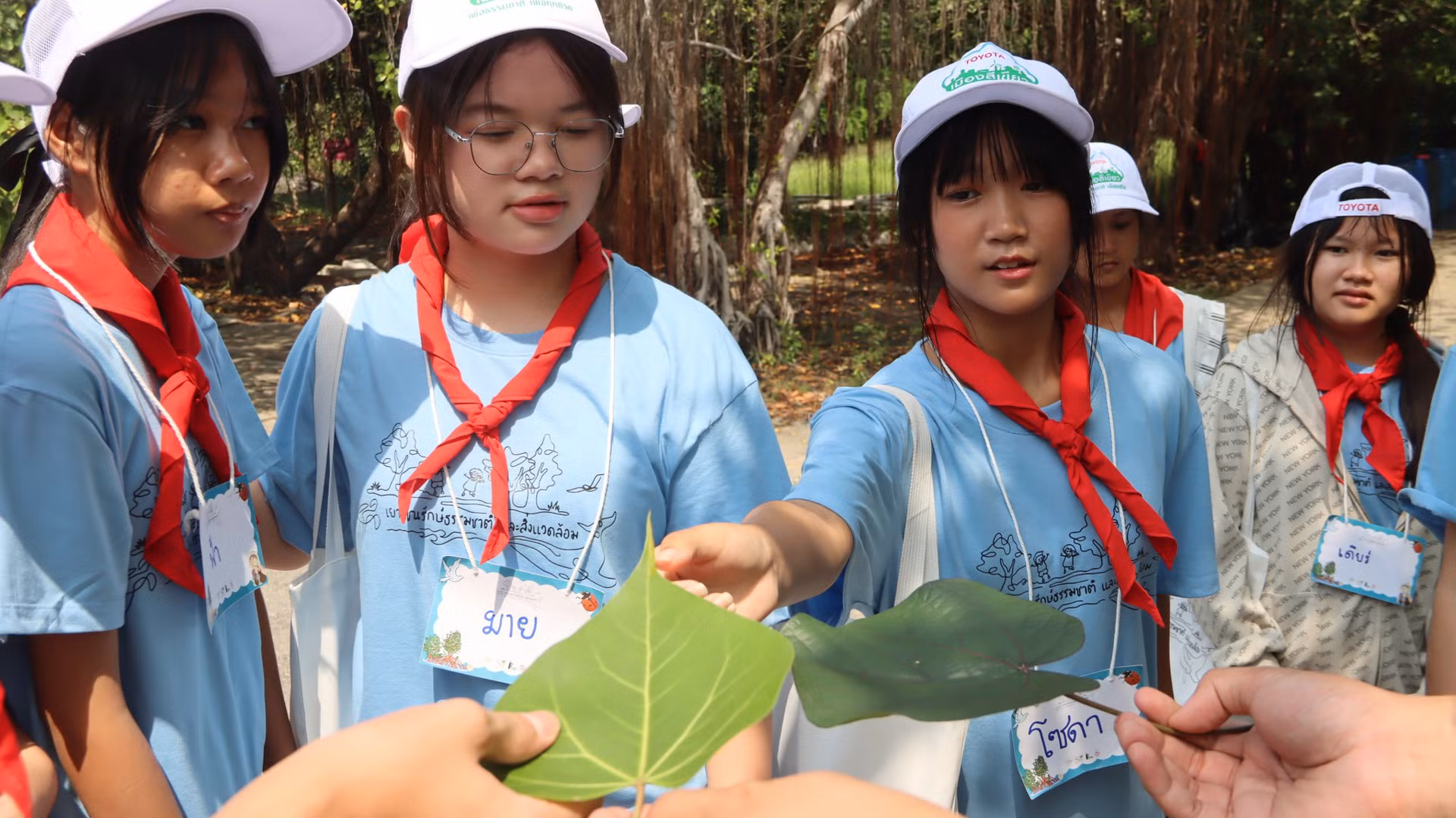 Thông qua các chương trình được thiết kế riêng cho các nhóm du khách khác nhau, Trung tâm Giáo dục Thiên nhiên Bangpu cung cấp kiến thức về rừng ngập mặn, hệ sinh thái bãi bồi và đa dạng sinh học. Ảnh: Trung tâm Giáo dục Thiên nhiên Bangpu