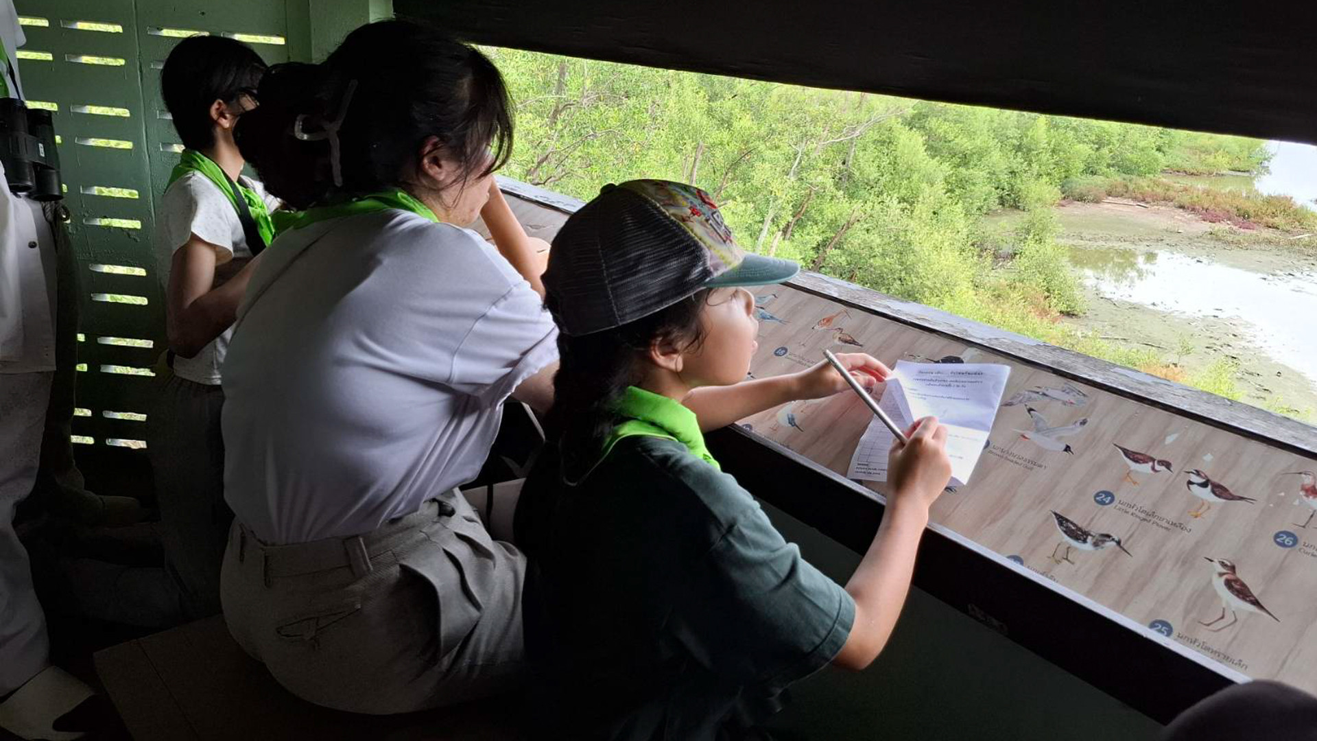 Học sinh cũng có cơ hội tìm hiểu về các loài chim địa phương và chim di cư khác nhau, quan sát những loài chim đó từ tháp chim hay đi bộ dọc các con đường trong trung tâm. Các em cũng có thể tìm hiểu về hệ sinh thái ven biển và bãi bồi, mối quan hệ của hệ sinh thái này với nguồn nước, cấu trúc sinh thái và các sinh vật trong khu vực. Ảnh: Trung tâm Giáo dục Thiên nhiên Bangpu