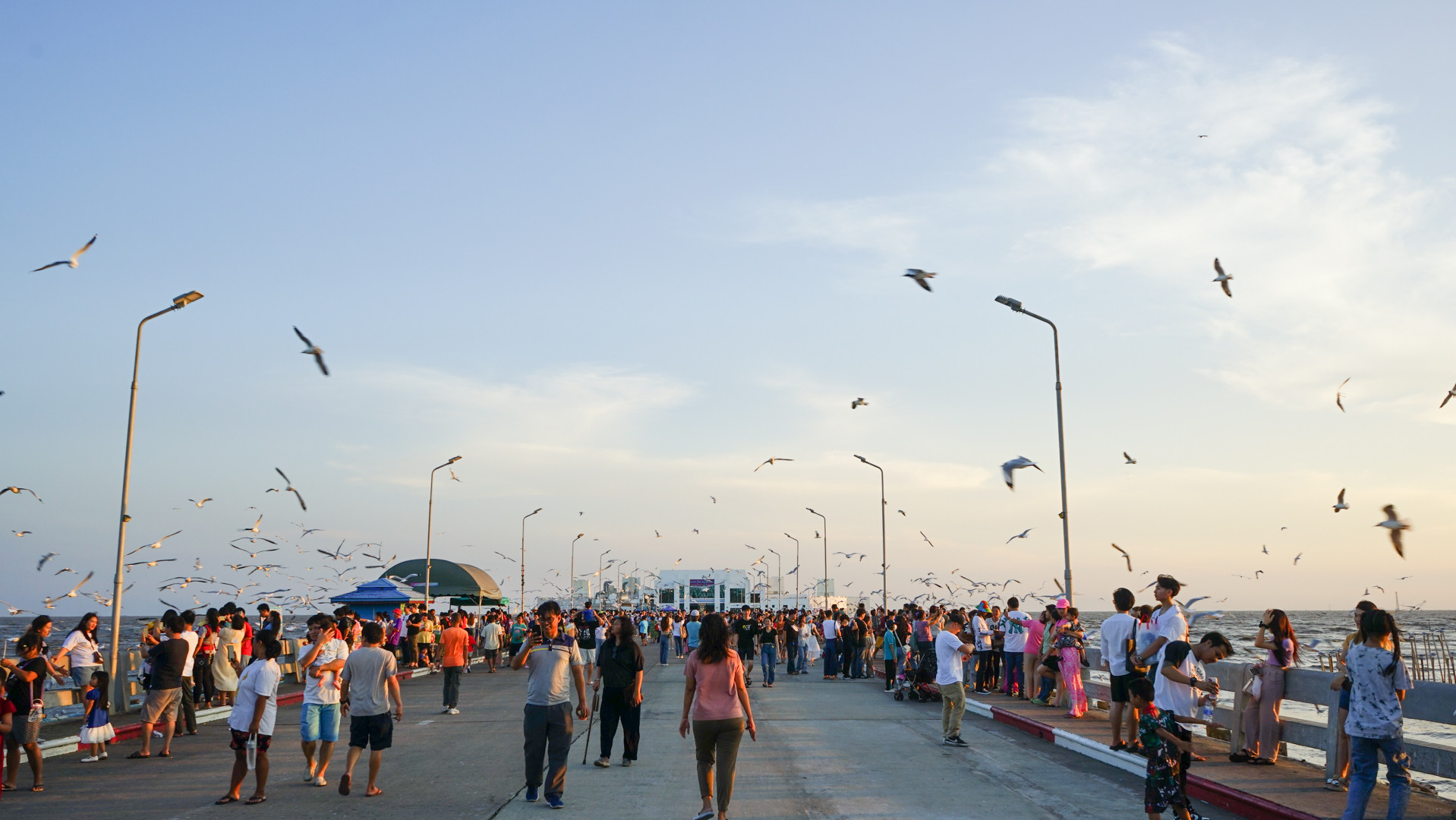 Quỹ Giáo dục môi trường vì phát triển bền vững Thái Lan (FEED) và Văn phòng Chính sách và quy hoạch tài nguyên thiên nhiên và môi trường của Thái Lan (ONEP) đã tổ chức nhiều hoạt động như Ngày chim di cư thế giới, nhằm thảo luận về các kế hoạch hành động về chim di cư. Các sự kiện này thu hút sự tham gia của những người quan sát chim chuyên nghiệp và nghiệp dư, các nhà nghiên cứu và các nhà bảo tồn, các doanh nghiệp, tổ chức phi chính phủ, cũng như đại diện từ các tổ chức chính phủ.