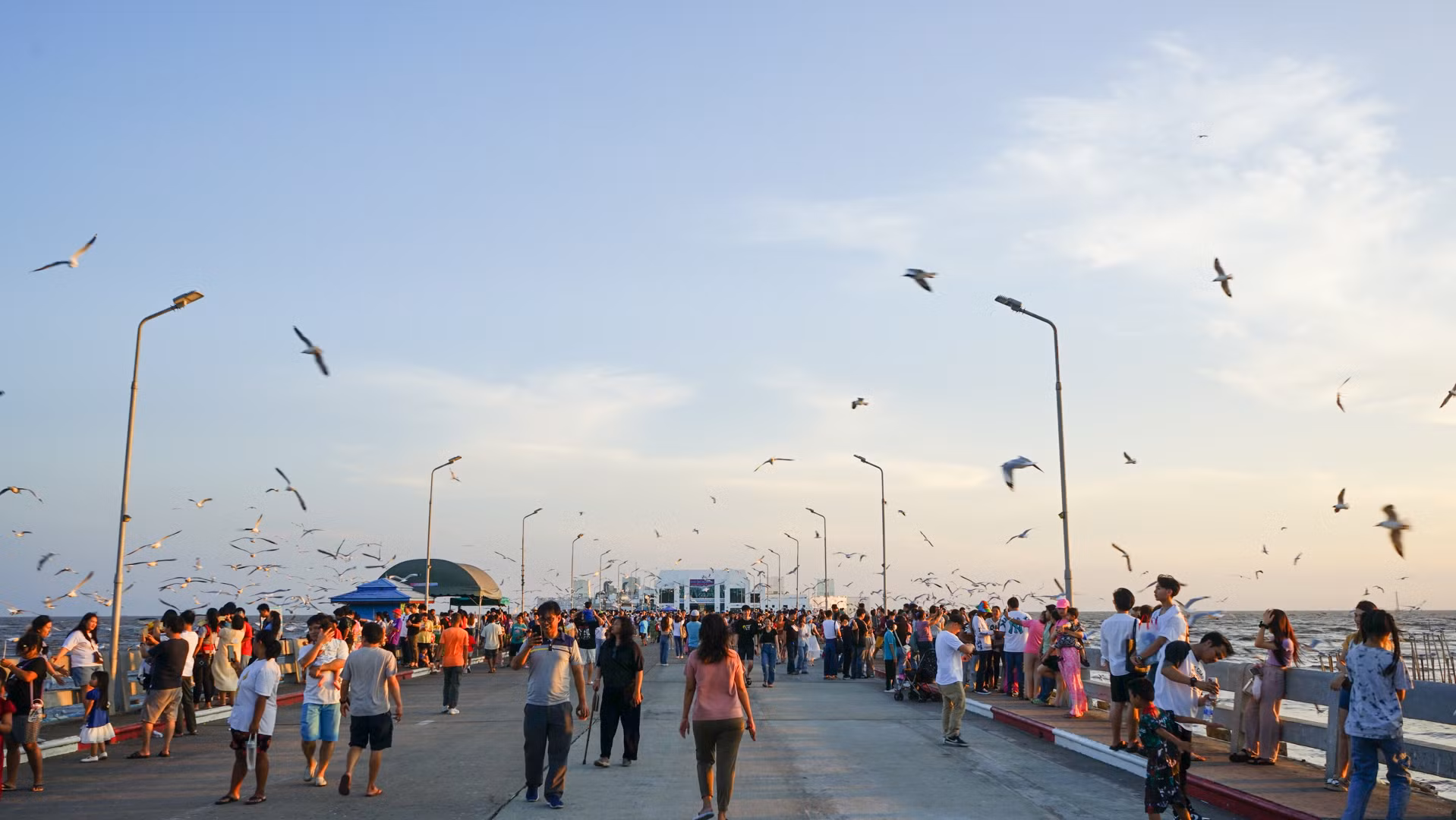 Quỹ Giáo dục môi trường vì phát triển bền vững Thái Lan (FEED) và Văn phòng Chính sách và quy hoạch tài nguyên thiên nhiên và môi trường của Thái Lan (ONEP) đã tổ chức nhiều hoạt động như Ngày chim di cư thế giới, nhằm thảo luận về các kế hoạch hành động về chim di cư. Các sự kiện này thu hút sự tham gia của những người quan sát chim chuyên nghiệp và nghiệp dư, các nhà nghiên cứu và các nhà bảo tồn, các doanh nghiệp, tổ chức phi chính phủ, cũng như đại diện từ các tổ chức chính phủ.