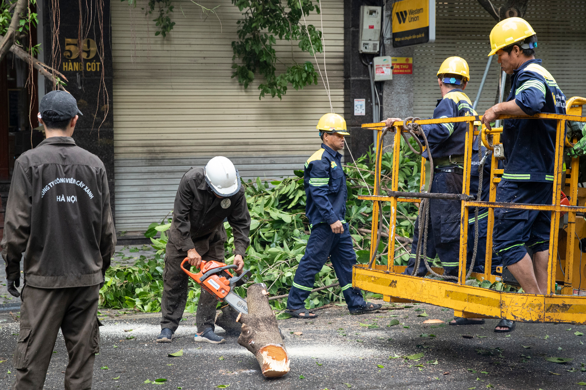 Theo thống kê chưa đầy đủ, tính đến ngày 9/9, địa bàn Hà Nội có khoảng 25 nghìn cây xanh bị giật đổ do ảnh hưởng của bão số 3. Hiện việc xử lý cây xanh đang gặp nhiều khó khăn do số lượng quá nhiều.