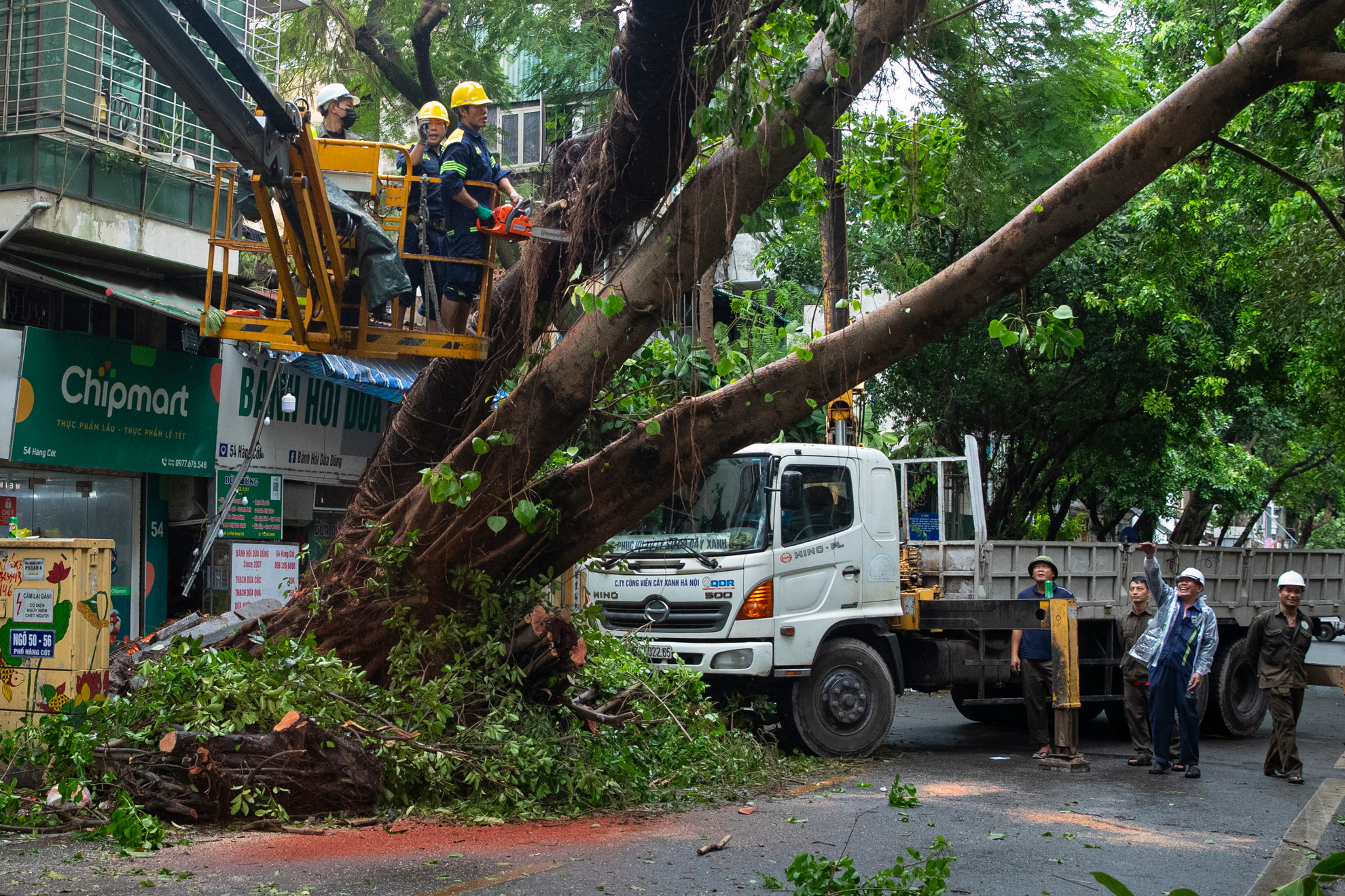 Trong chiều 9/9, các công nhân tiến hành cắt tỉa, xử lý cây xanh bị đổ tại khu vực quận Hoàn Kiếm.