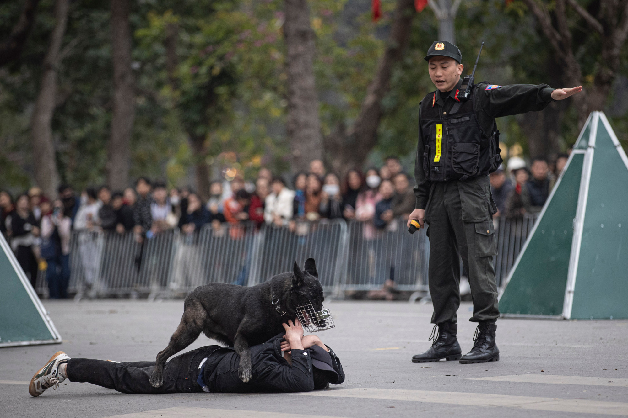 Các huấn luyện viên cùng cảnh khuyển thuộc Bộ Tư lệnh Cảnh sát Cơ động trình diễn nghiệp vụ khống chế đối tượng. Các huấn luyện viên cùng cảnh khuyển thuộc Bộ Tư lệnh Cảnh sát Cơ động trình diễn nghiệp vụ khống chế đối tượng.