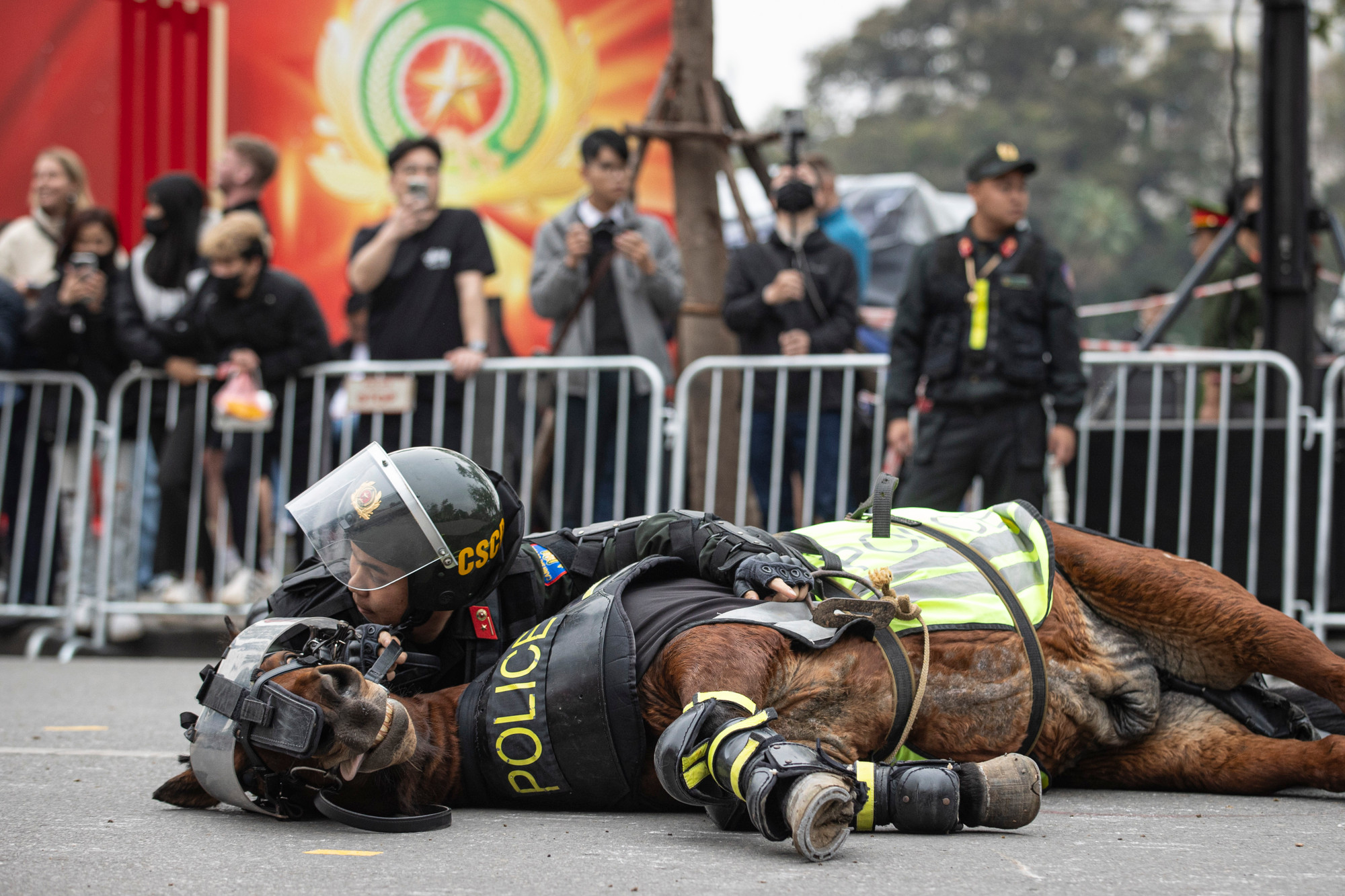Màn biểu diễn kỹ thuật, chiến thuật điều khiển ngựa nằm của chiến sĩ Cảnh sát cơ động Kỵ binh. Kỹ thuật này thể hiện sự thuần phục và khả năng huấn luyện bài bản, giúp ngựa sẵn sàng tác chiến trong mọi tình huống. Màn biểu diễn kỹ thuật, chiến thuật điều khiển ngựa nằm của chiến sĩ Cảnh sát cơ động Kỵ binh. Kỹ thuật này thể hiện sự thuần phục và khả năng huấn luyện bài bản, giúp ngựa sẵn sàng tác chiến trong mọi tình huống.