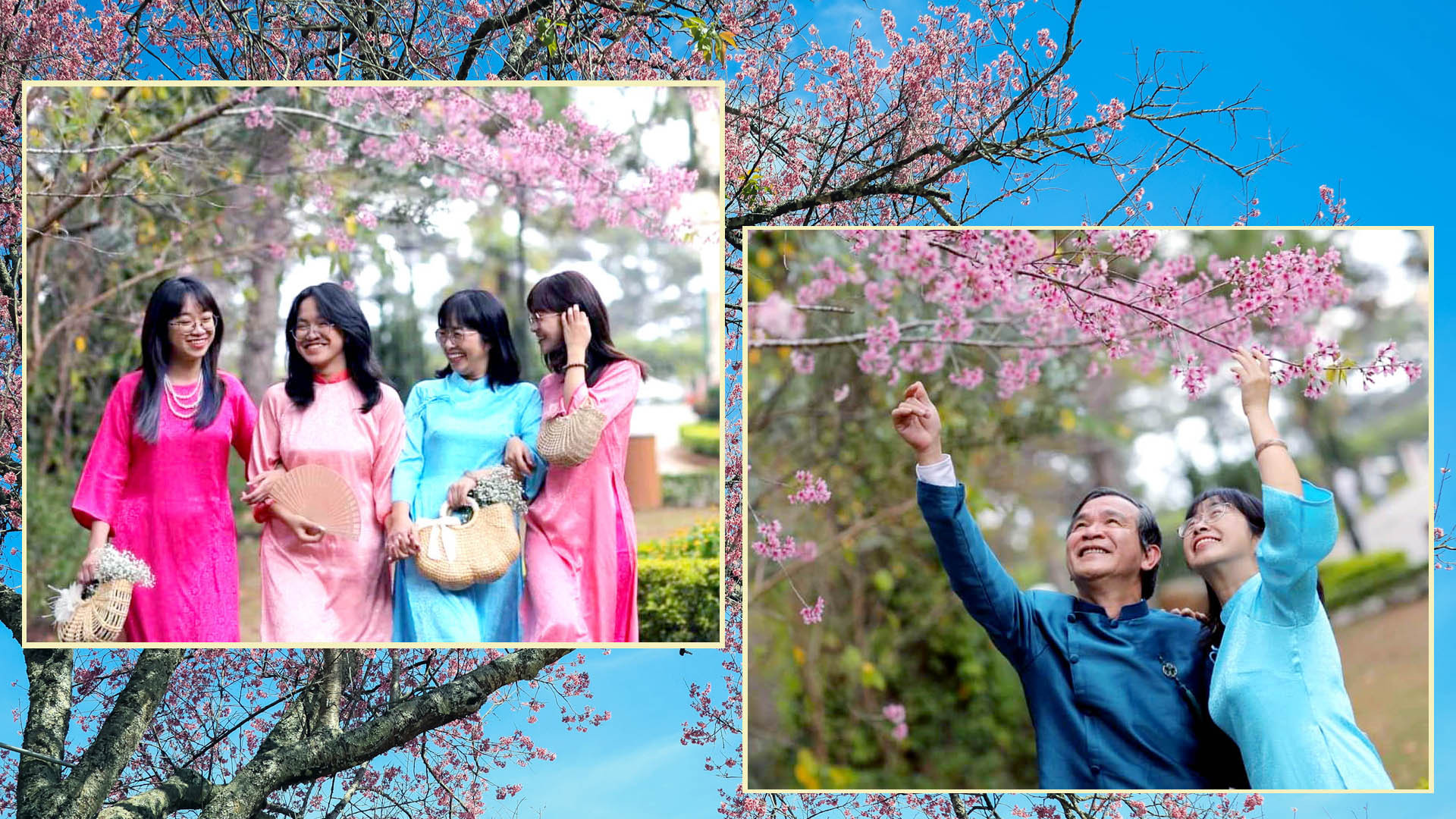 Hoa mai anh đào đã trở thành "biểu tượng" mùa xuân Đà Lạt. Khi phố núi trổ nắng vàng, tiết trời lạnh hơn, người dân xứ sở ngàn hoa hò hẹn với mùa hoa thương nhớ, để "nghe tâm tư mơ ước mộng đào nguyên đẹp như chuyện ngày xưa".