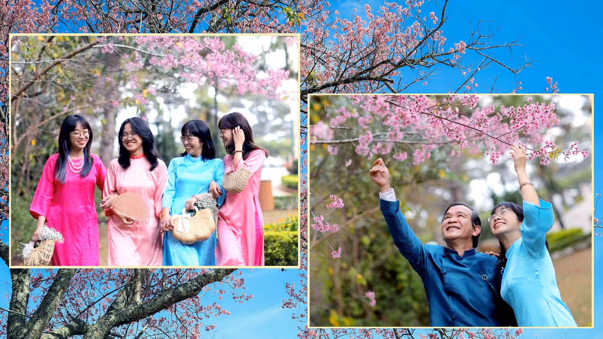 Hoa mai anh đào đã trở thành "biểu tượng" mùa xuân Đà Lạt. Khi phố núi trổ nắng vàng, tiết trời lạnh hơn, người dân xứ sở ngàn hoa hò hẹn với mùa hoa thương nhớ, để "nghe tâm tư mơ ước mộng đào nguyên đẹp như chuyện ngày xưa".