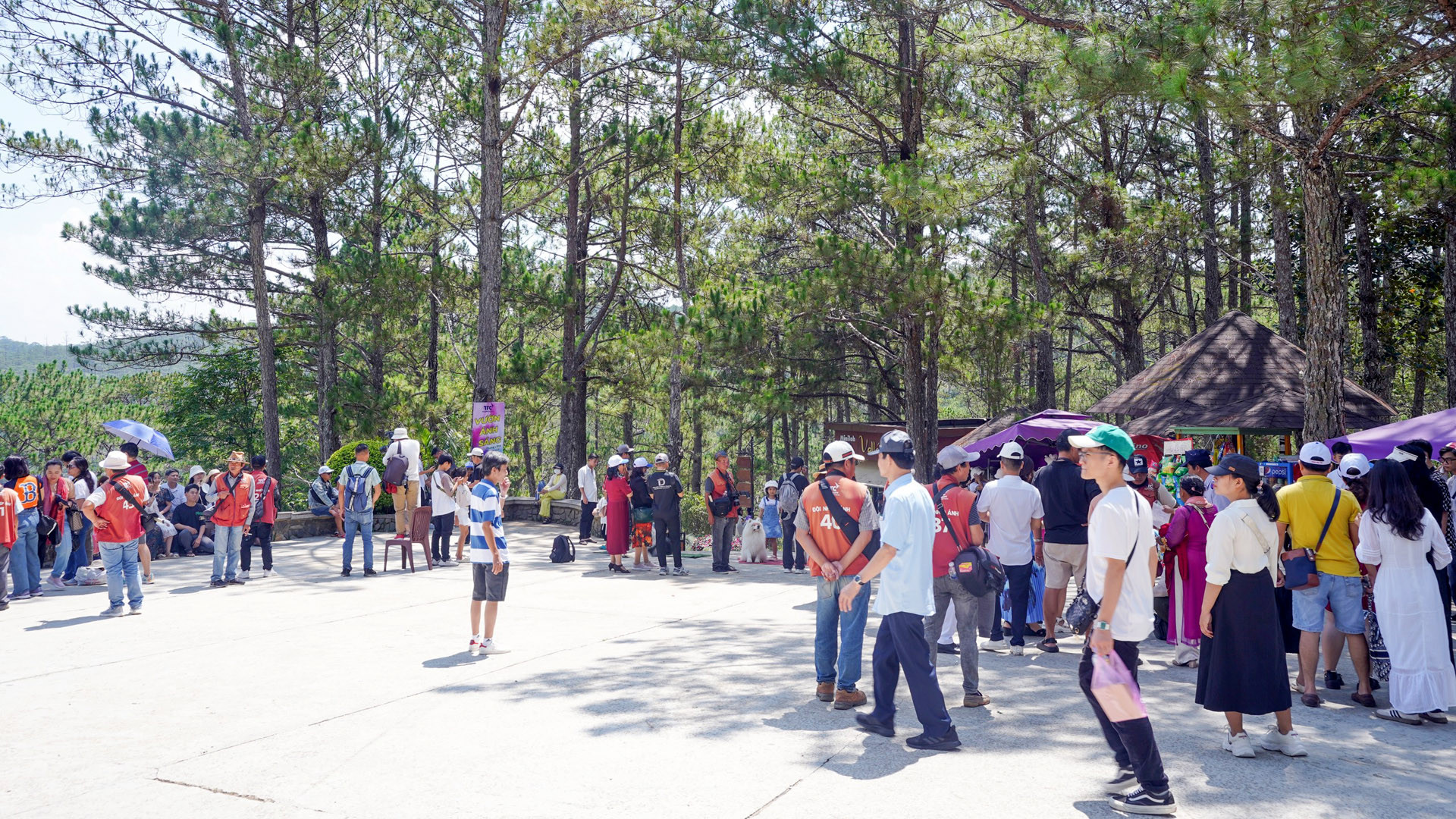 Đà Lạt được nhiều nền tảng du lịch trực tuyến ghi nhận là điểm du lịch thiên nhiên được du khách yêu thích tại châu Á. Đây được xem như thiên đường dành cho những người yêu thiên nhiên, bởi khí hậu mát mẻ quanh năm, những khu rừng thông, nhiều thác nước hùng vĩ, xứ sở của các loài hoa quanh năm khoe sắc… giúp Đà Lạt trở thành điểm đến hấp dẫn trên bản đồ du lịch.