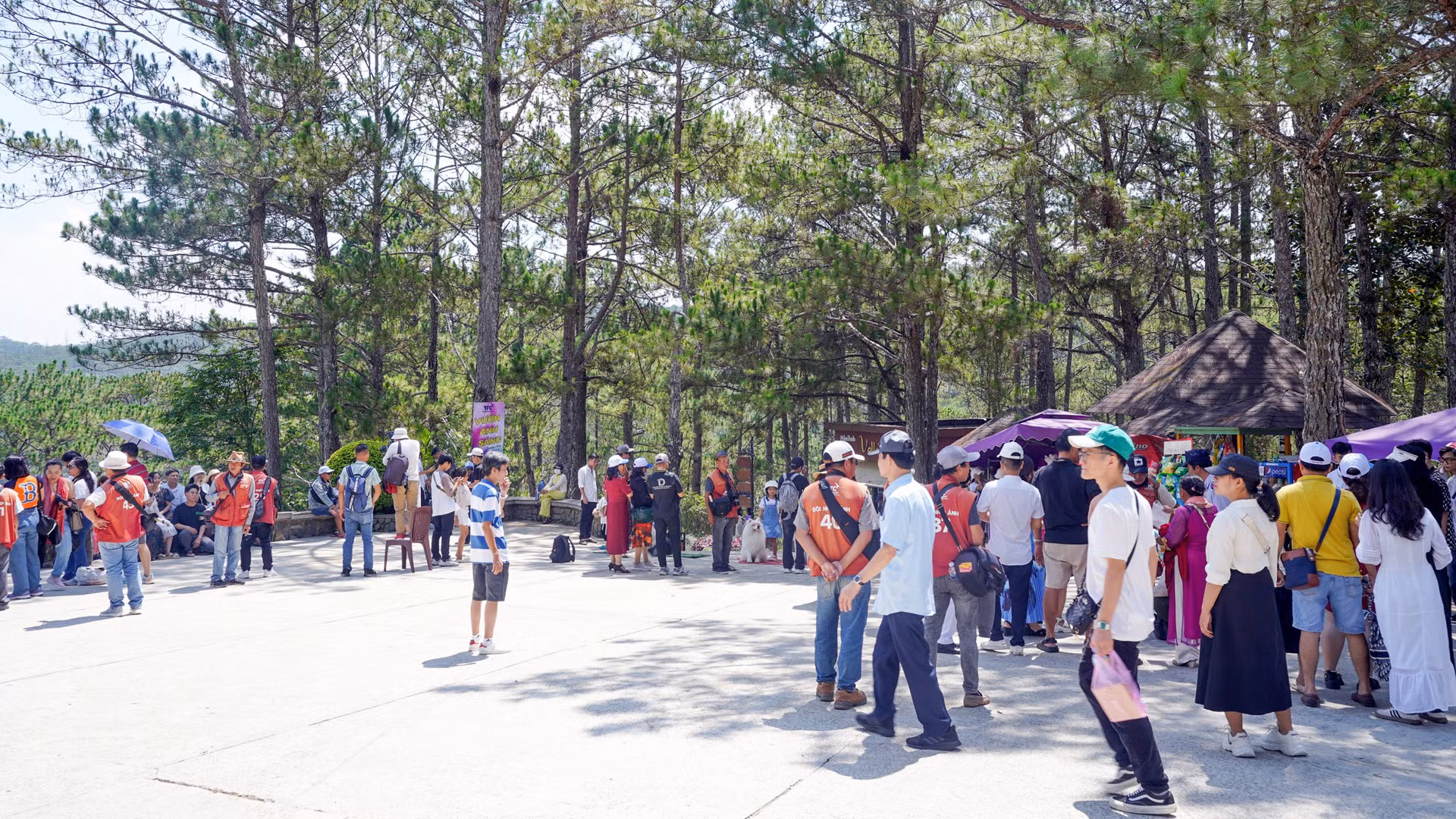 Đà Lạt được nhiều nền tảng du lịch trực tuyến ghi nhận là điểm du lịch thiên nhiên được du khách yêu thích tại châu Á. Đây được xem như thiên đường dành cho những người yêu thiên nhiên, bởi khí hậu mát mẻ quanh năm, những khu rừng thông, nhiều thác nước hùng vĩ, xứ sở của các loài hoa quanh năm khoe sắc… giúp Đà Lạt trở thành điểm đến hấp dẫn trên bản đồ du lịch. Đà Lạt được nhiều nền tảng du lịch trực tuyến ghi nhận là điểm du lịch thiên nhiên được du khách yêu thích tại châu Á. Đây được xem như thiên đường dành cho những người yêu thiên nhiên, bởi khí hậu mát mẻ quanh năm, những khu rừng thông, nhiều thác nước hùng vĩ, xứ sở của các loài hoa quanh năm khoe sắc… giúp Đà Lạt trở thành điểm đến hấp dẫn trên bản đồ du lịch.