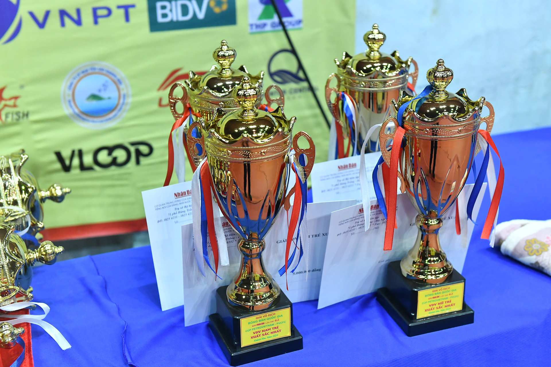 Những chiếc cúp danh hiệu của giải đấu.