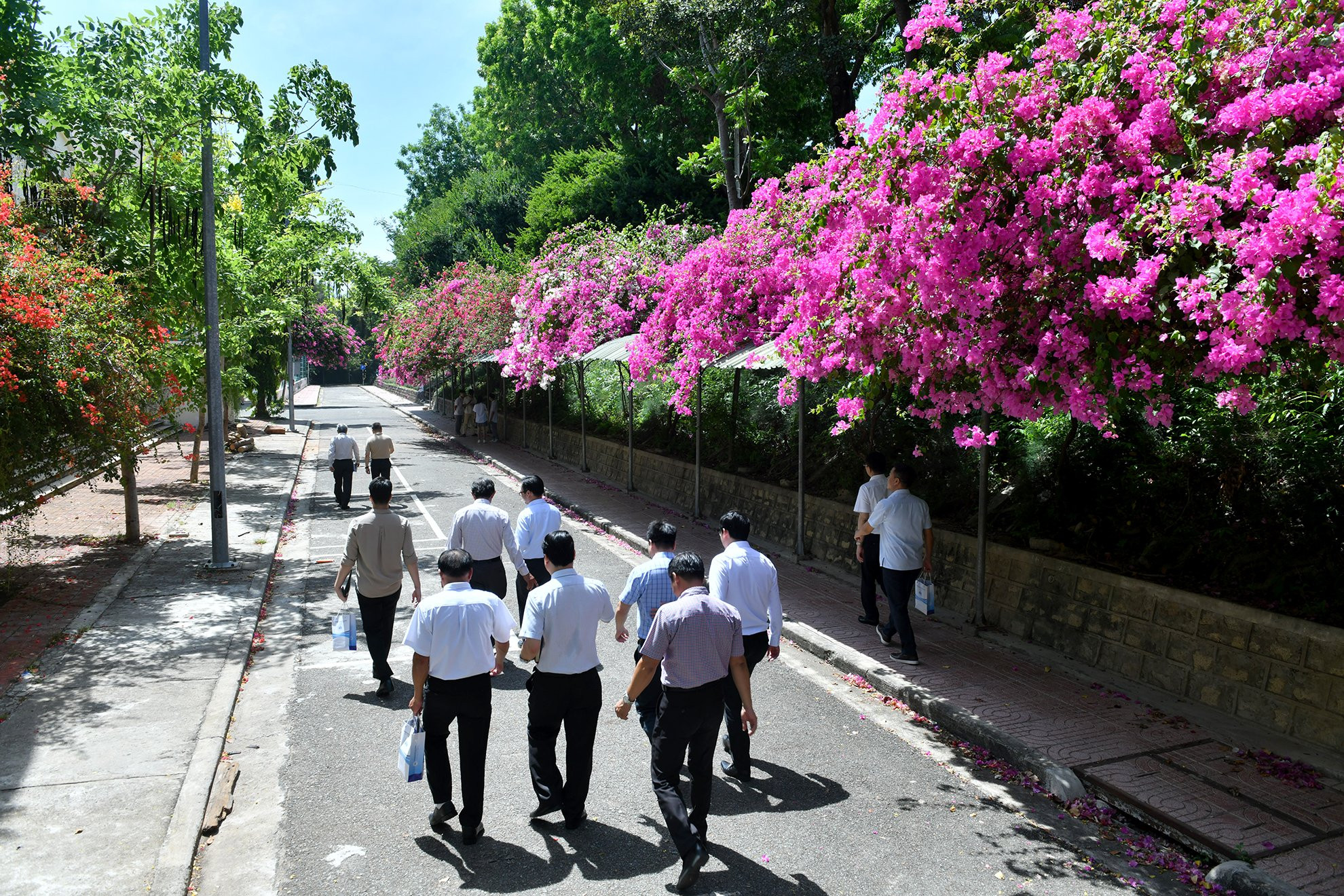 Hàng hoa giấy tươi đẹp của Trường Đại học Nha Trang.