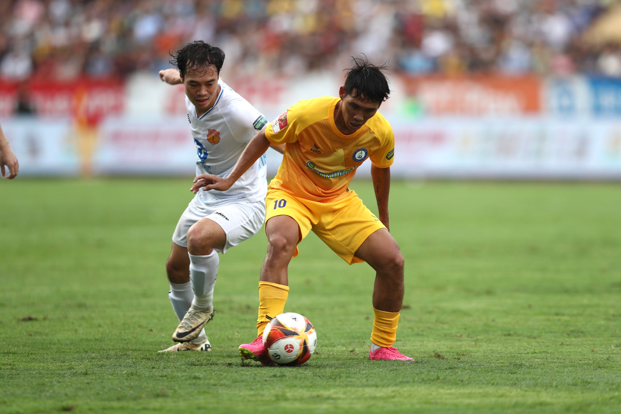 [Ảnh] Nam Định lên ngôi V-League sau 39 năm chờ đợi ảnh 7