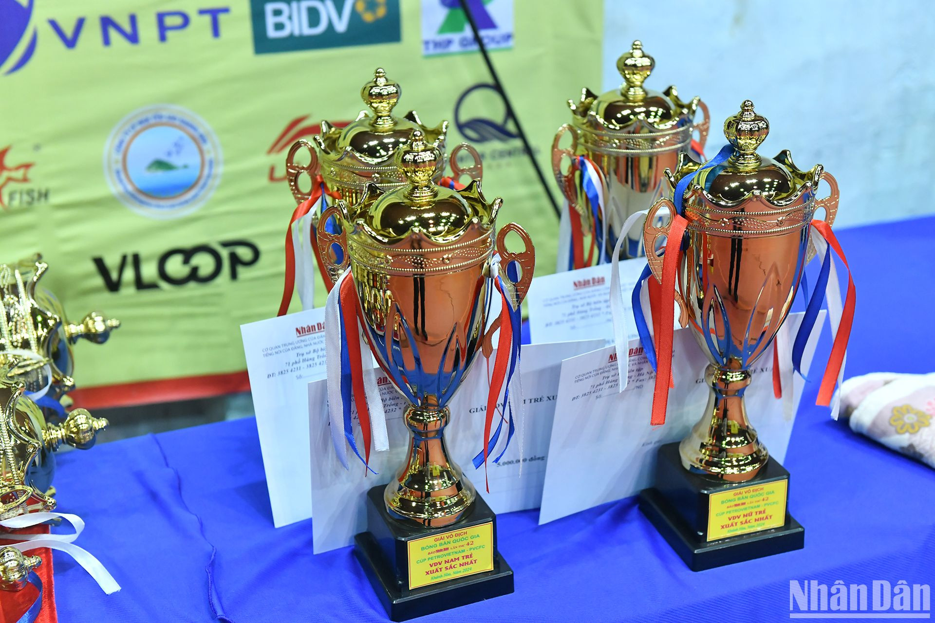Các cúp danh hiệu của giải đấu.