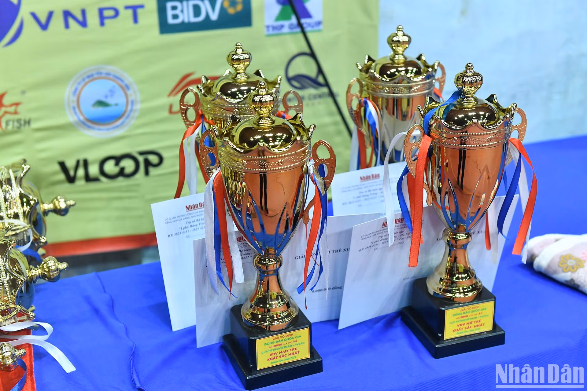 Các cúp danh hiệu của giải đấu. Các cúp danh hiệu của giải đấu.