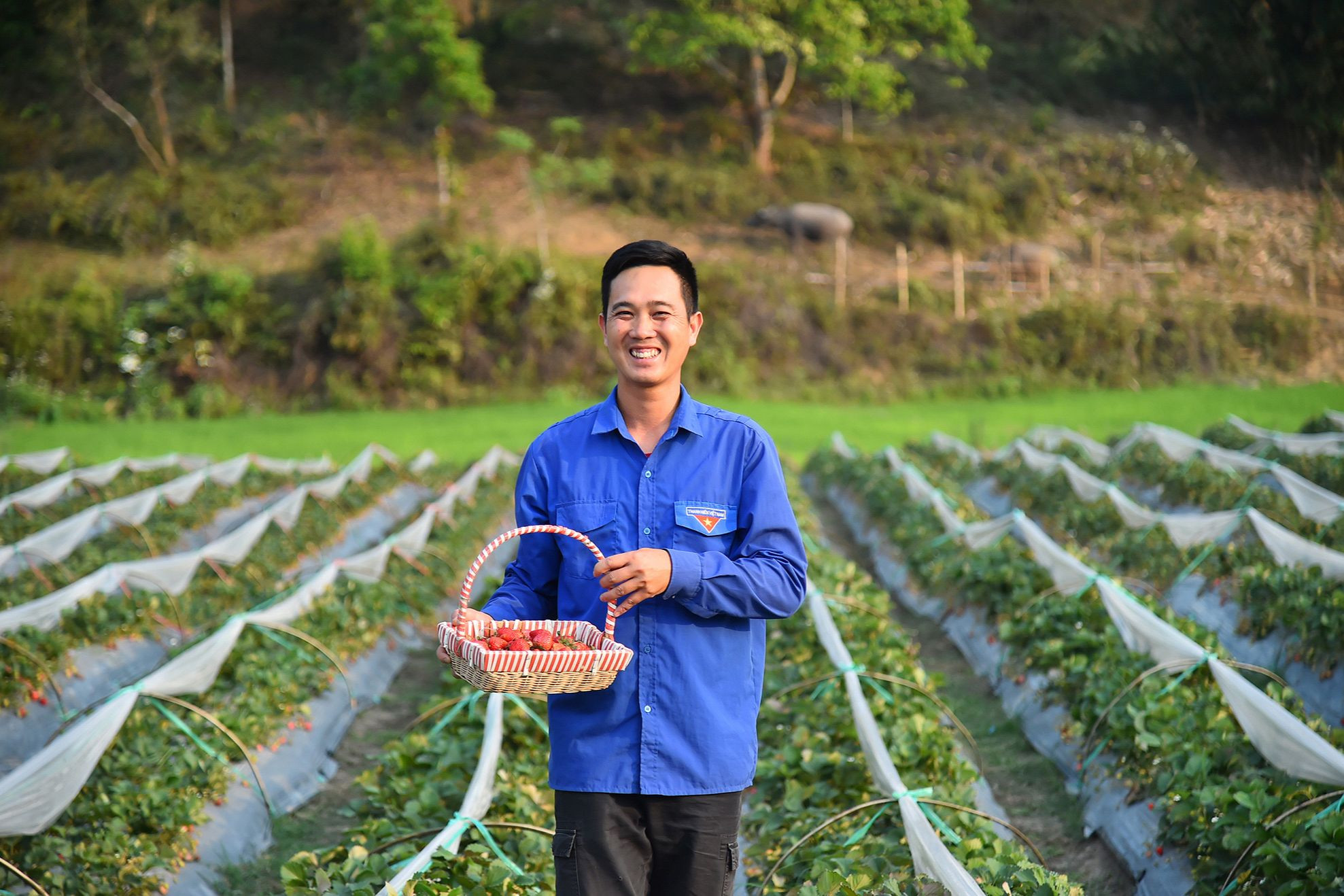 Với ý chí, khát khao “Làm một trận Điện Biên Phủ trong xu thế hội nhập và phát triển” tuổi trẻ Mường Phăng nói riêng và tuổi trẻ thành phố Điện Biên Phủ nói chung, đã và đang cùng cả nước góp phần giáo dục, bồi dưỡng hình thành lớp thanh niên mới “vừa hồng, vừa chuyên”. Đặc biệt, có kiến thức vững vàng, khả năng tiếp cận trí tuệ của thời đại; khơi gợi ý chí “tự lực, tự cường”, xung kích, tình nguyện phát triển kinh tế-xã hội và bảo vệ Tổ quốc; chung tay xây dựng nông thôn mới, làm chủ cuộc sống trên chính mảnh đất quê hương. Với ý chí, khát khao “Làm một trận Điện Biên Phủ trong xu thế hội nhập và phát triển” tuổi trẻ Mường Phăng nói riêng và tuổi trẻ thành phố Điện Biên Phủ nói chung, đã và đang cùng cả nước góp phần giáo dục, bồi dưỡng hình thành lớp thanh niên mới “vừa hồng, vừa chuyên”. Đặc biệt, có kiến thức vững vàng, khả năng tiếp cận trí tuệ của thời đại; khơi gợi ý chí “tự lực, tự cường”, xung kích, tình nguyện phát triển kinh tế-xã hội và bảo vệ Tổ quốc; chung tay xây dựng nông thôn mới, làm chủ cuộc sống trên chính mảnh đất quê hương.