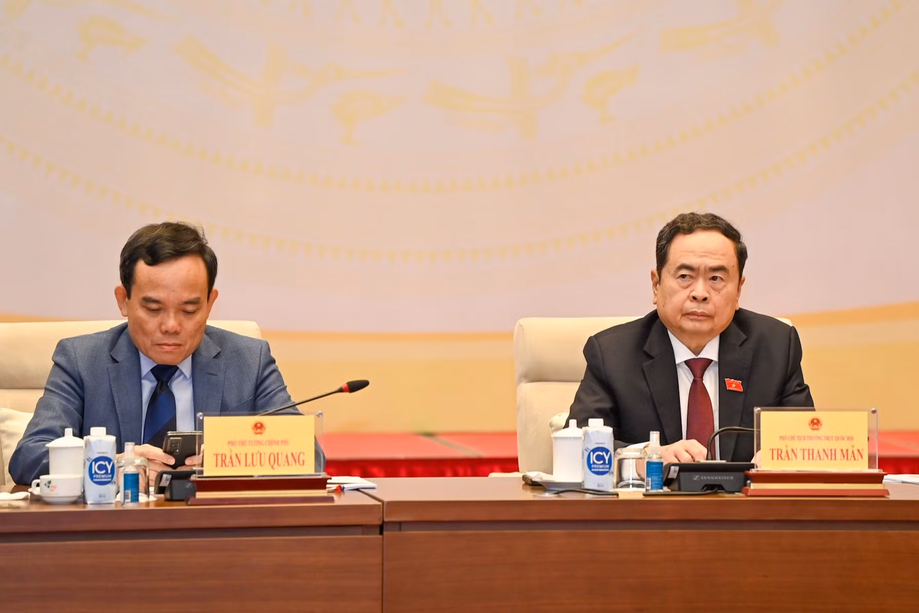 Phó Chủ tịch Thường trực Quốc hội Trần Thanh Mẫn và Phó Thủ tướng Chính phủ Trần Lưu Quang tại hội nghị.