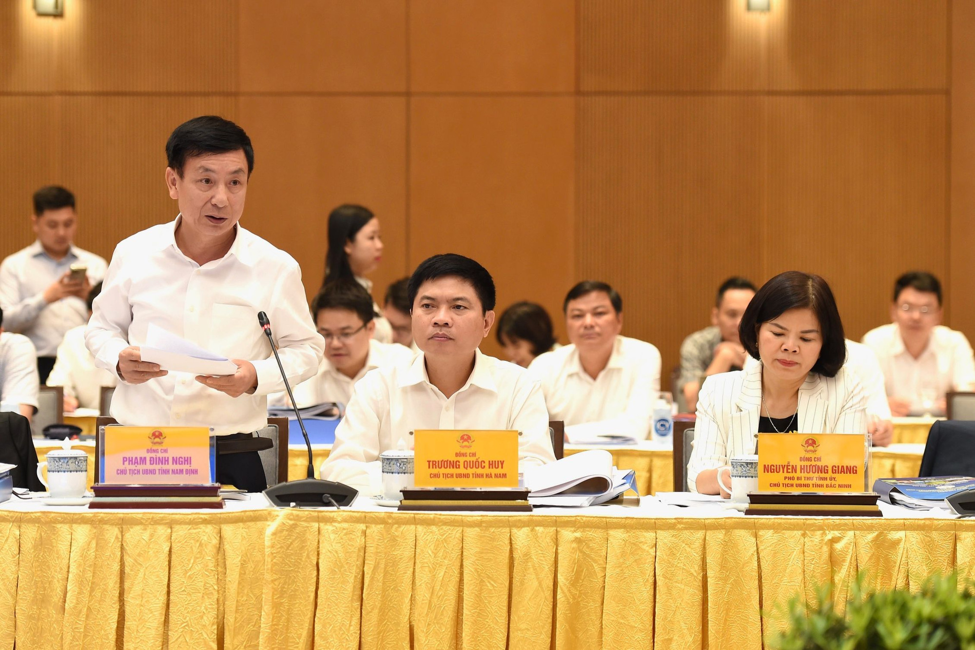 Chủ tịch Ủy ban nhân dân tỉnh Nam Định Phạm Đình Nghị phát biểu.