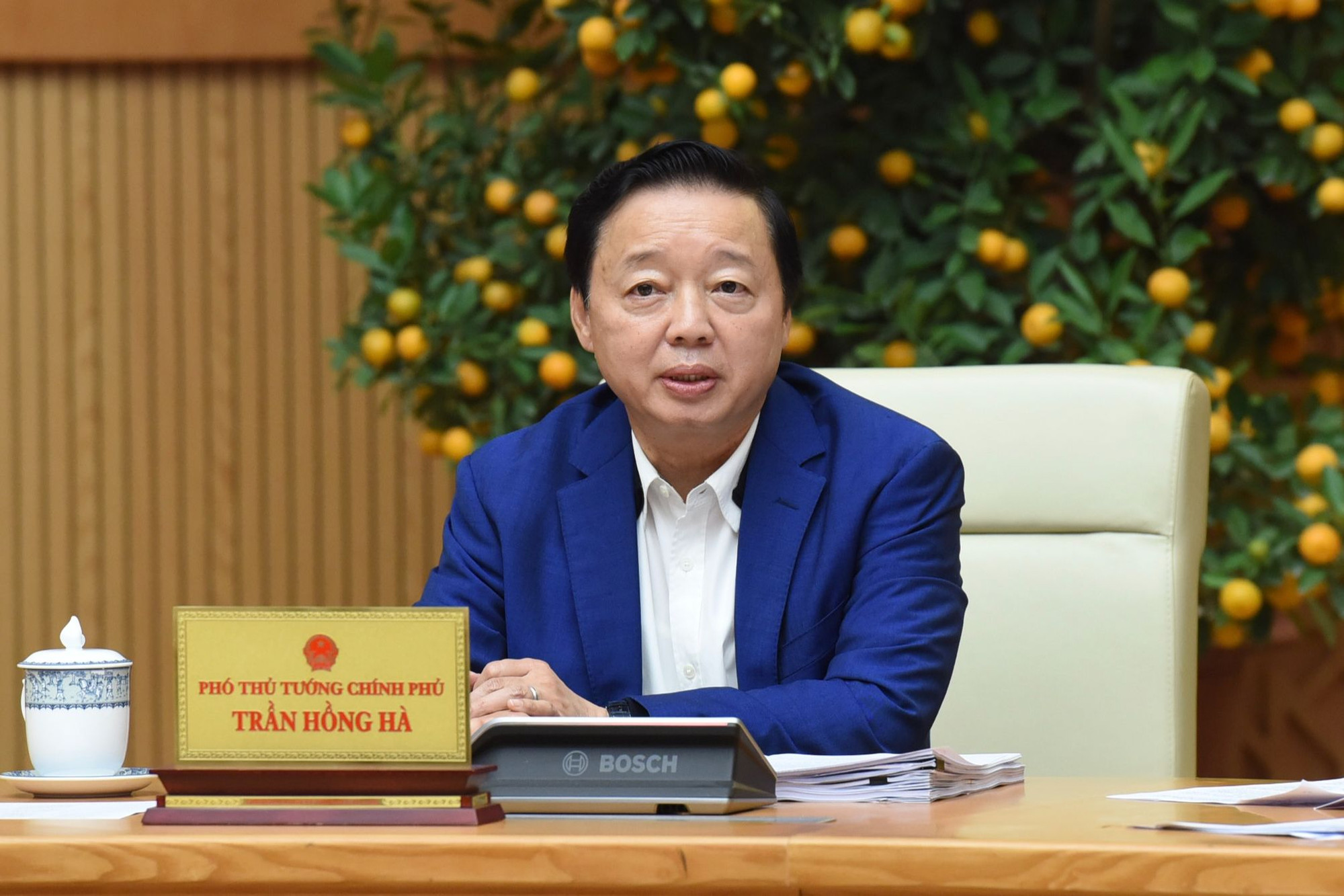 Phó Thủ tướng Trần Hồng Hà phát biểu.