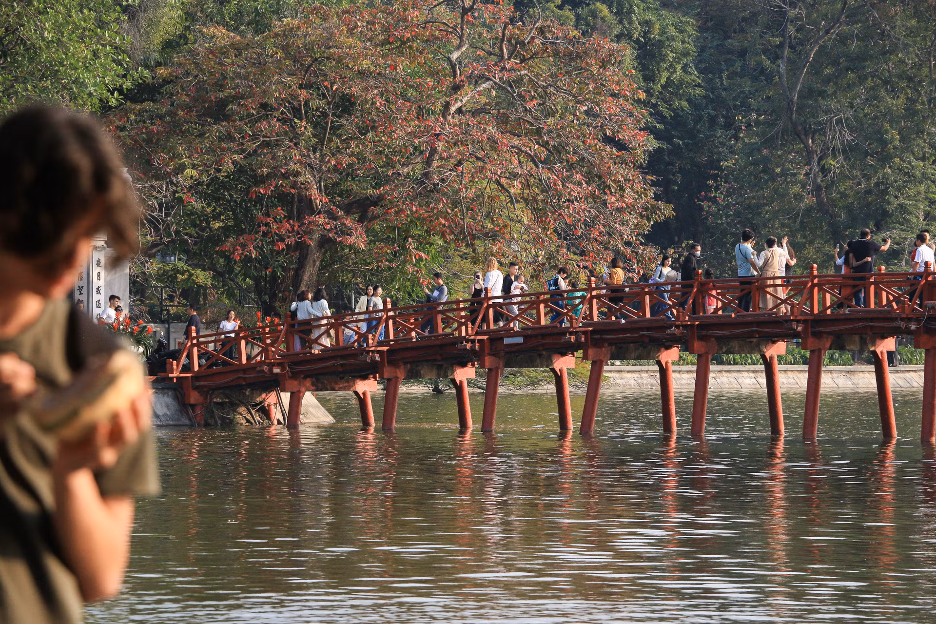 Cầu Thê Húc trong ánh nắng rạng rỡ của buổi chiều đầu năm 2024.