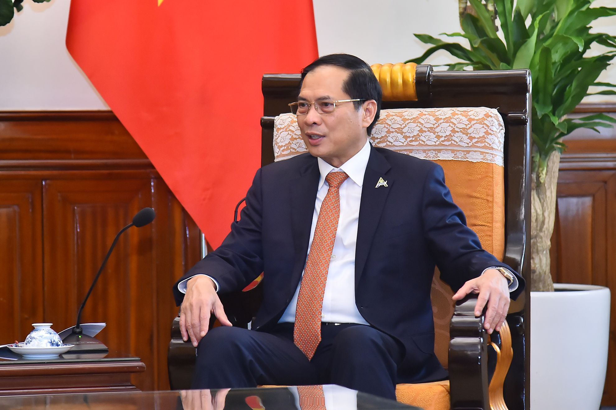 Bộ trưởng Ngoại giao Bùi Thanh Sơn phát biểu tại buổi tiếp.