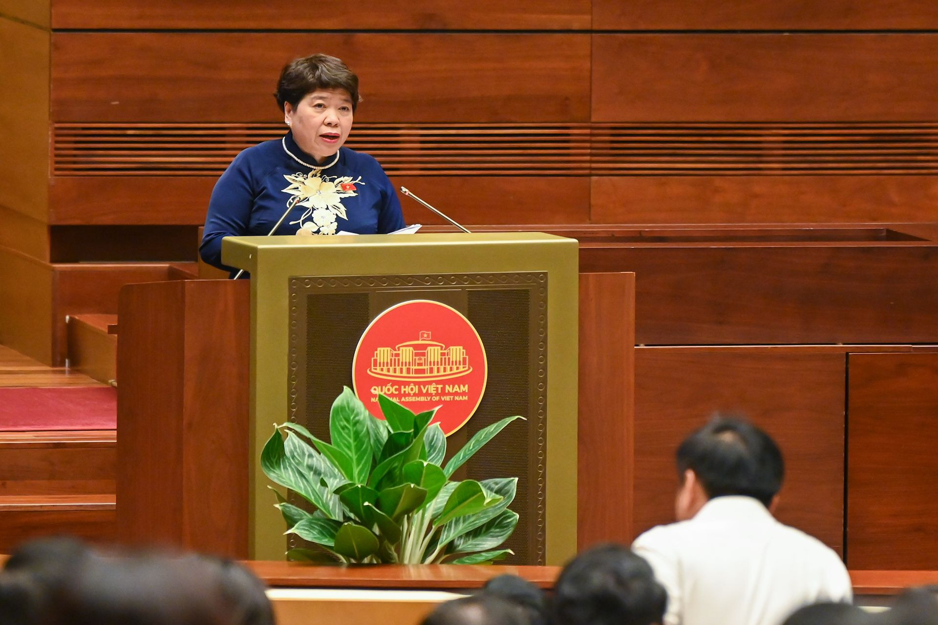 Chủ nhiệm Ủy ban Xã hội Nguyễn Thúy Anh trình bày Báo cáo tiếp thu, giải trình và chỉnh lý dự thảo Luật Bảo hiểm xã hội (sửa đổi).