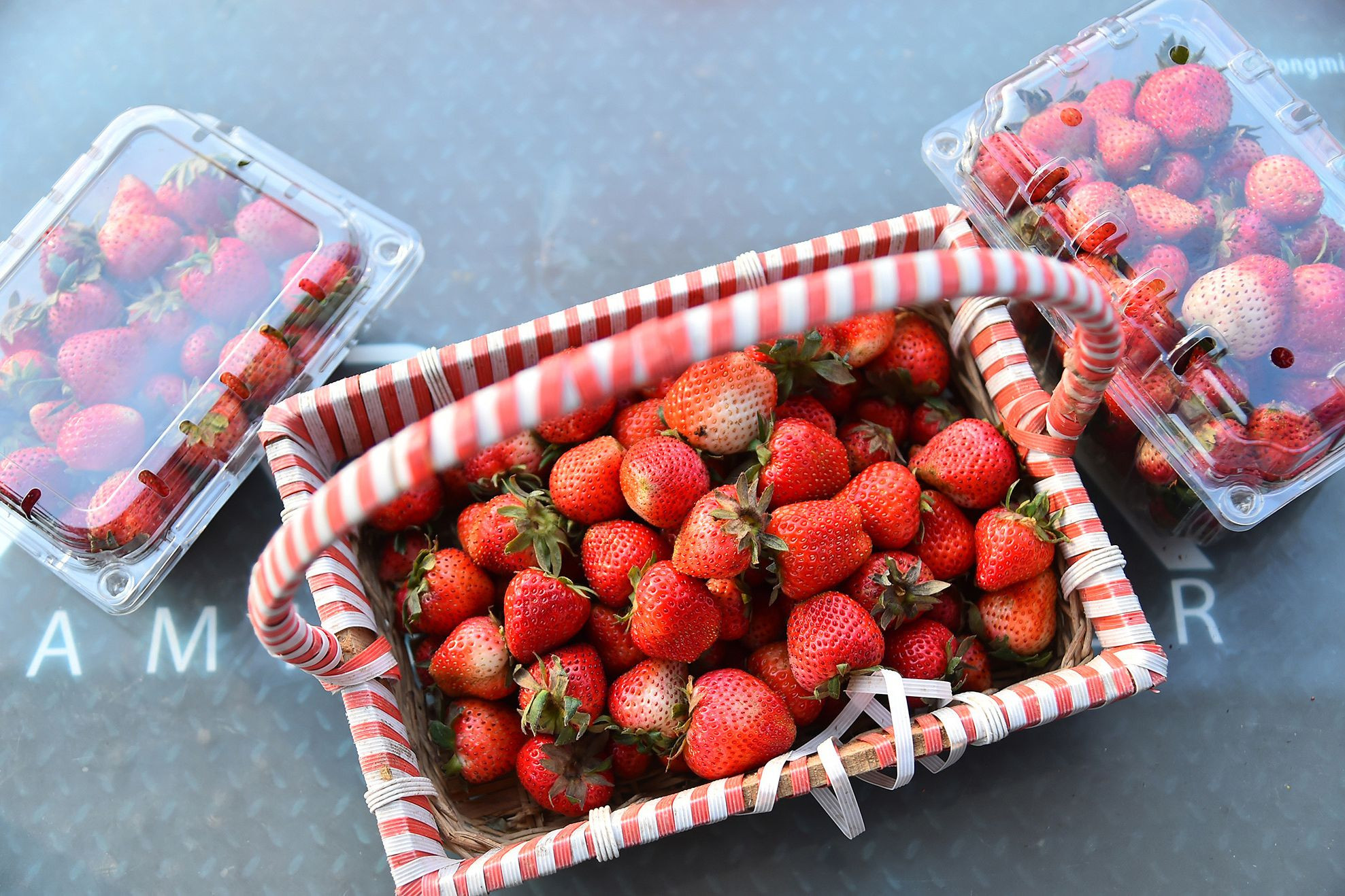 Vào vụ thu hoạch, trung bình mỗi ngày Hợp tác xã thu hái được từ 60 đến 70kg quả. Giá mỗi kg khoảng 150 nghìn đồng. Với ưu thế là nông sản địa phương, mẫu mã đẹp, chất lượng quả đồng đều và giá cả phù hợp thị trường nên dâu tây Mường Phăng được nhiều người tiêu dùng lựa chọn. Sản phẩm quả sau khi thu hái được đóng gói và đưa đi tiêu thụ ở siêu thị, cửa hàng hoa quả và phục vụ khách du lịch khi đến với Mường Phăng. Với 3ha hiện có, sau khi trừ chi phí đầu tư, gia đình anh thu nhập khoảng 300 triệu đồng/vụ. Vào vụ thu hoạch, trung bình mỗi ngày Hợp tác xã thu hái được từ 60 đến 70kg quả. Giá mỗi kg khoảng 150 nghìn đồng. Với ưu thế là nông sản địa phương, mẫu mã đẹp, chất lượng quả đồng đều và giá cả phù hợp thị trường nên dâu tây Mường Phăng được nhiều người tiêu dùng lựa chọn. Sản phẩm quả sau khi thu hái được đóng gói và đưa đi tiêu thụ ở siêu thị, cửa hàng hoa quả và phục vụ khách du lịch khi đến với Mường Phăng. Với 3ha hiện có, sau khi trừ chi phí đầu tư, gia đình anh thu nhập khoảng 300 triệu đồng/vụ.