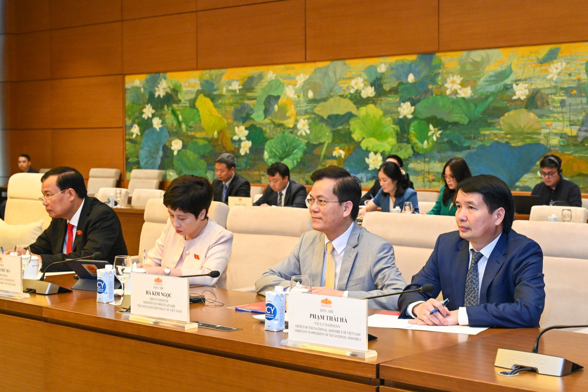 Lãnh đạo các Ủy ban của Quốc hội, Bộ Ngoại giao và các đại biểu dự buổi tiếp.