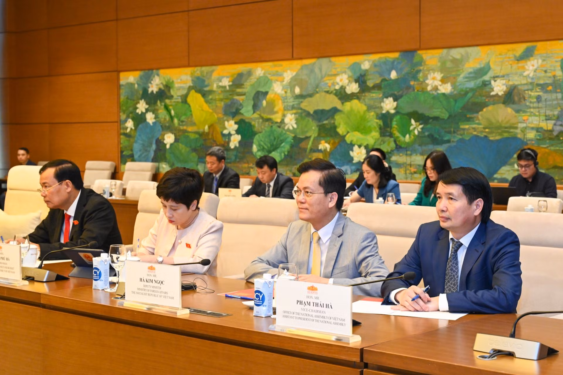 Lãnh đạo các Ủy ban của Quốc hội, Bộ Ngoại giao và các đại biểu dự buổi tiếp.