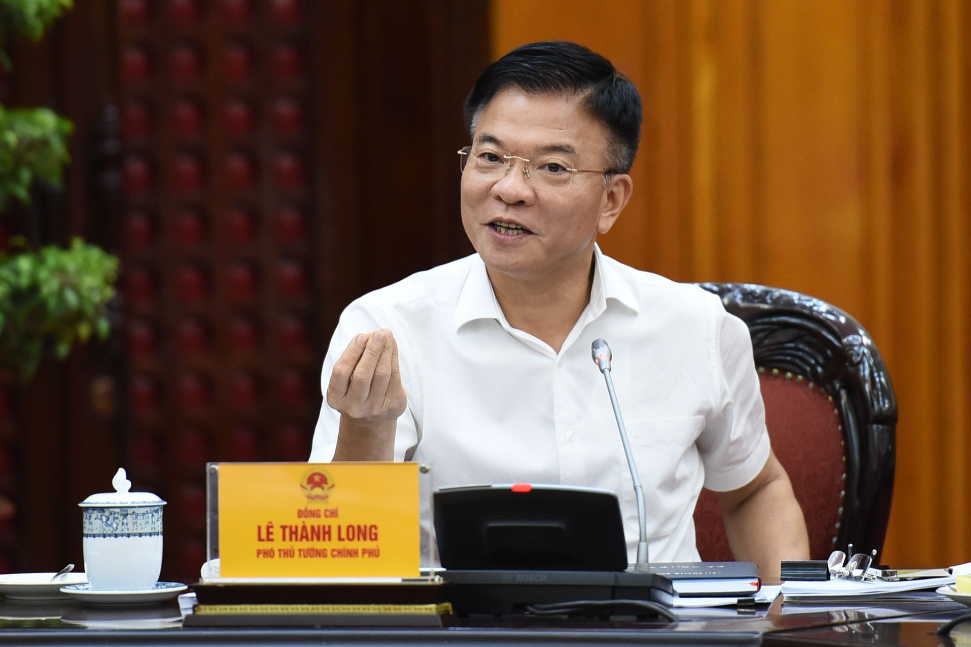 Phó Thủ tướng Lê Thành Long phát biểu tại phiên họp.