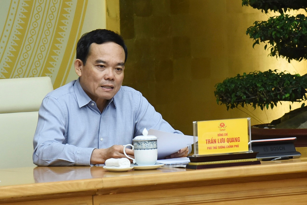 Phó Thủ tướng Trần Lưu Quang phát biểu tại phiên họp.