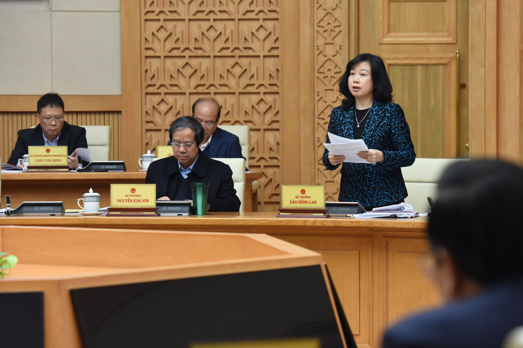 Bộ trưởng Y tế Đào Hồng Lan phát biểu.