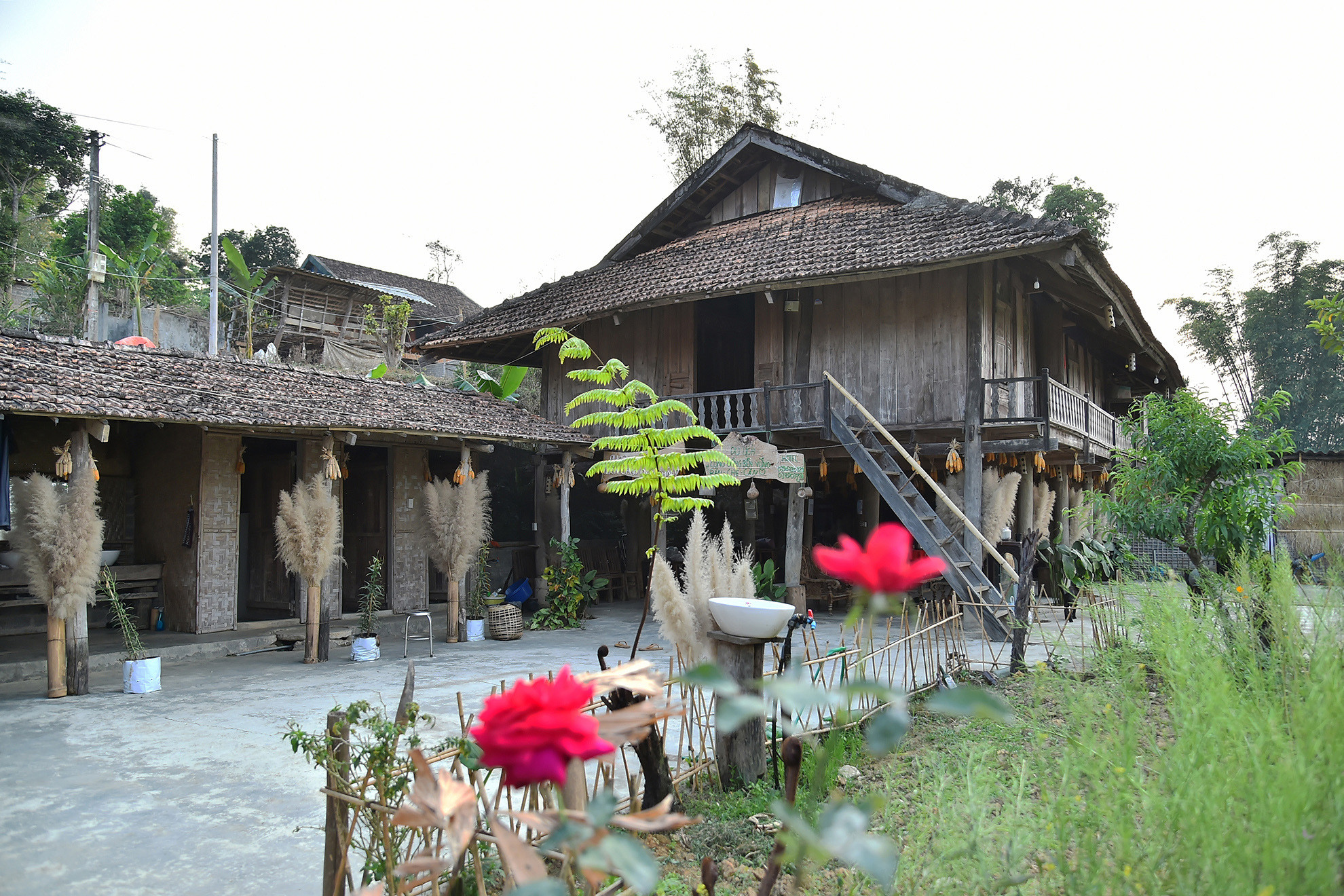 Hạ tầng được đầu tư đồng bộ. Người dân ở đây gìn giữ và phát huy tốt các giá trị văn hóa, văn nghệ, ẩm thực truyền thống. Hiện nay, bản Che Căn có 1 homestay và gần 20 hộ làm dịch vụ du lịch. Ðến Che Căn, du khách được tham quan, tìm hiểu, trải nghiệm thực tế đời sống sinh hoạt, văn hóa, phong tục tập quán độc đáo của đồng bào dân tộc Thái. Hạ tầng được đầu tư đồng bộ. Người dân ở đây gìn giữ và phát huy tốt các giá trị văn hóa, văn nghệ, ẩm thực truyền thống. Hiện nay, bản Che Căn có 1 homestay và gần 20 hộ làm dịch vụ du lịch. Ðến Che Căn, du khách được tham quan, tìm hiểu, trải nghiệm thực tế đời sống sinh hoạt, văn hóa, phong tục tập quán độc đáo của đồng bào dân tộc Thái.