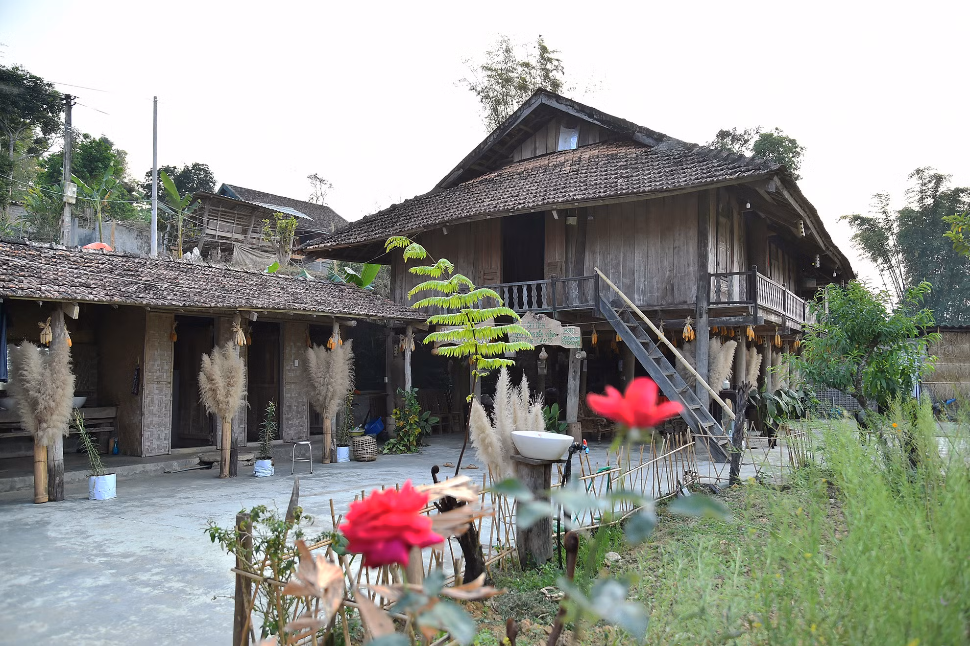 Hạ tầng được đầu tư đồng bộ. Người dân ở đây gìn giữ và phát huy tốt các giá trị văn hóa, văn nghệ, ẩm thực truyền thống. Hiện nay, bản Che Căn có 1 homestay và gần 20 hộ làm dịch vụ du lịch. Ðến Che Căn, du khách được tham quan, tìm hiểu, trải nghiệm thực tế đời sống sinh hoạt, văn hóa, phong tục tập quán độc đáo của đồng bào dân tộc Thái.