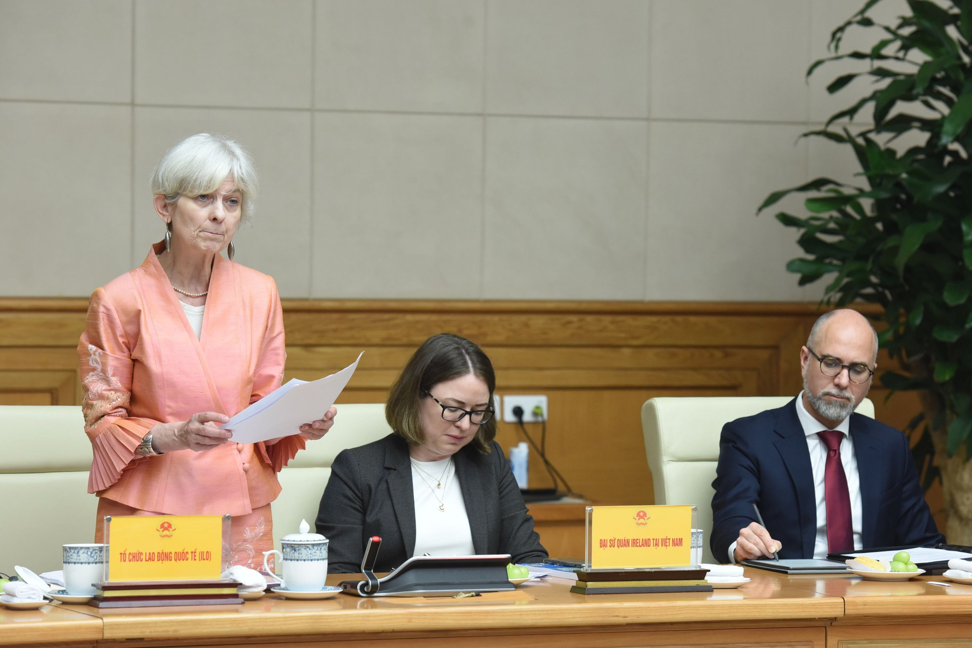 Đại diện tổ chức Lao động Quốc tế tại Việt Nam phát biểu. Đại diện tổ chức Lao động Quốc tế tại Việt Nam phát biểu.