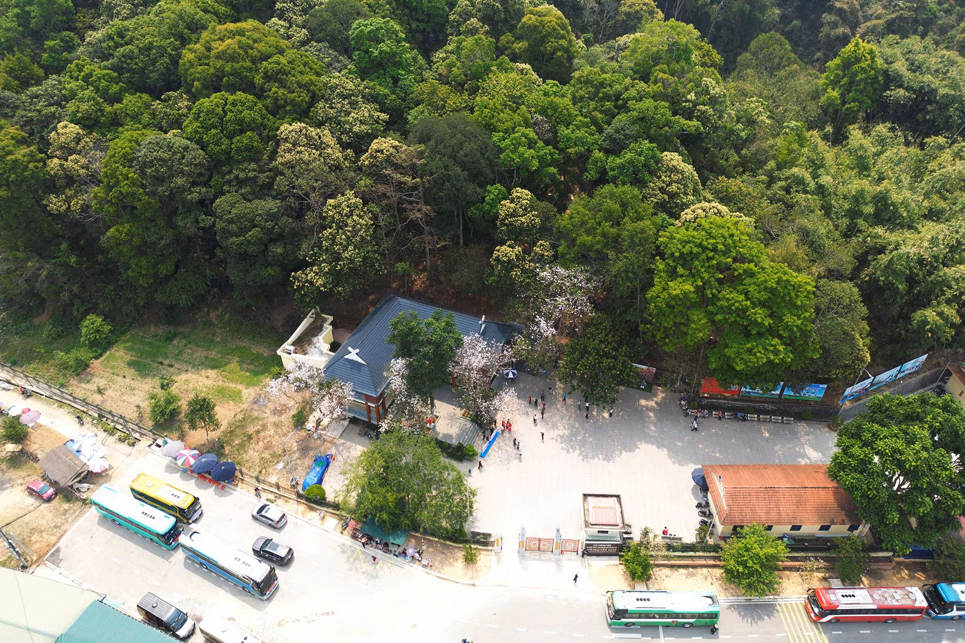 Dưới tán rừng của đại ngàn Mường Phăng, Sở Chỉ huy chiến dịch Điện Biên Phủ được bố trí thành một hệ thống liên hoàn, bao trước bọc sau, thuận lợi khi di chuyển và phù hợp với đặc thù làm việc khẩn trương của Bộ Chỉ huy chiến dịch, vừa bảo đảm bí mật, vừa tuyệt đối an toàn.